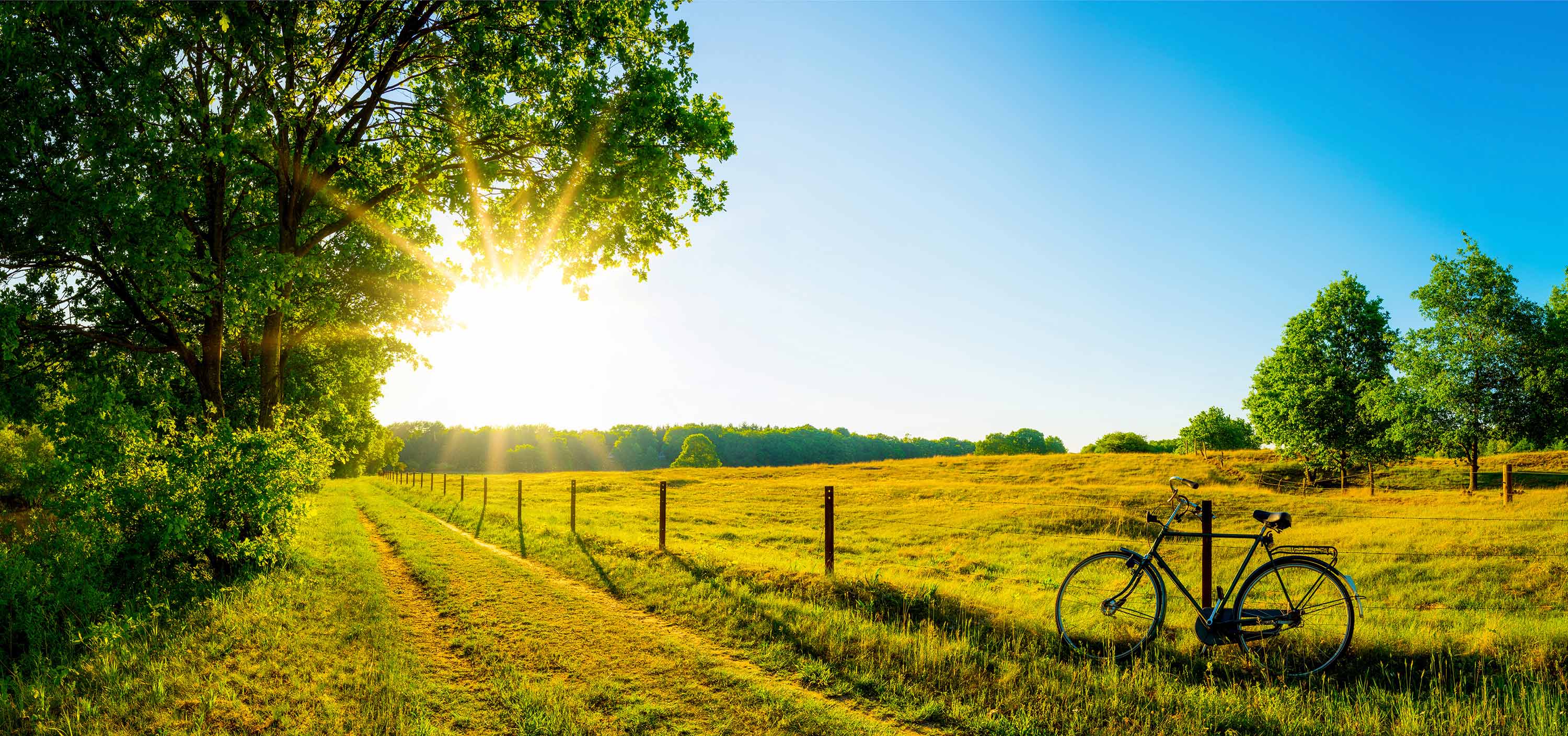 Foto di una campagna con una bici