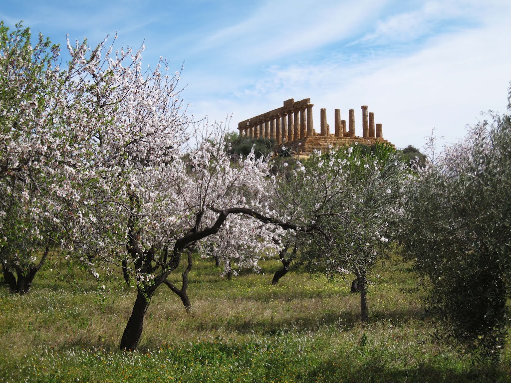 Valle dei Templi di Agrigento