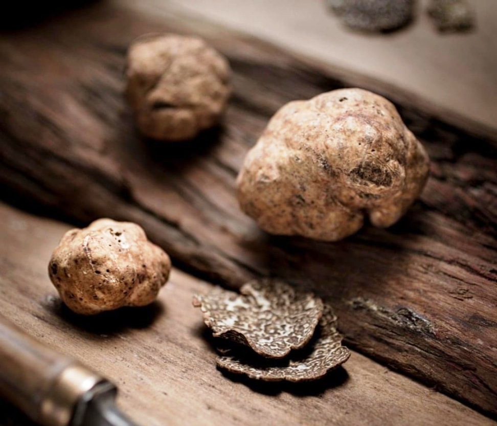 Tartufi