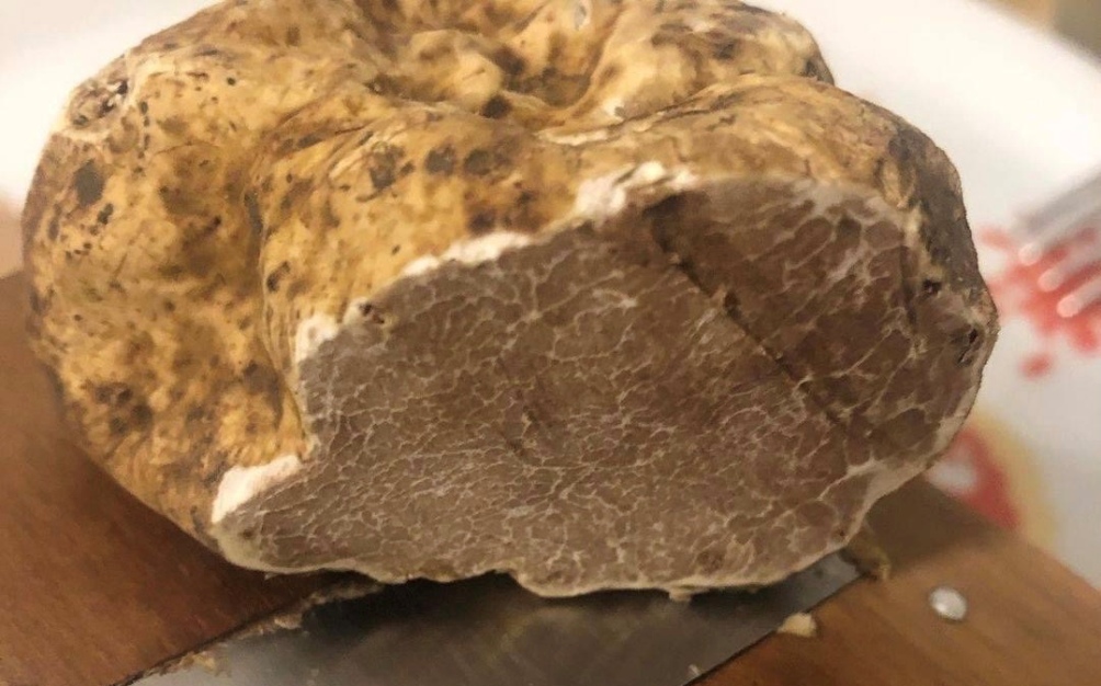 Tartufo