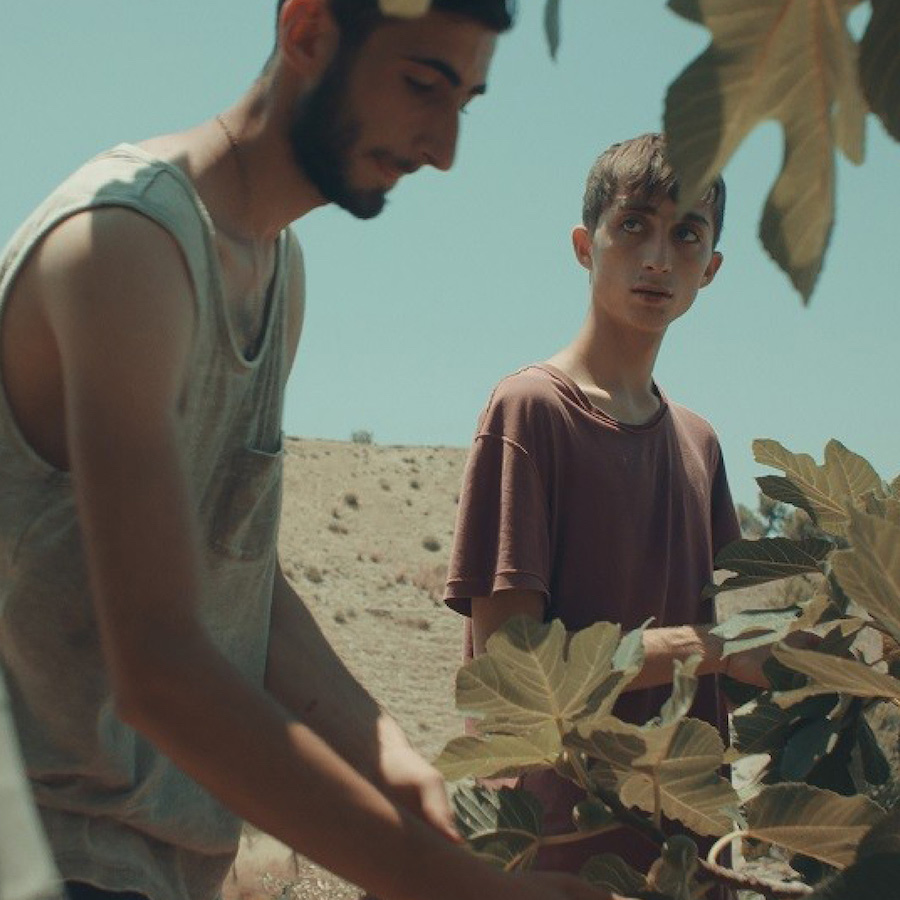 Un'immagine del film Accamòra