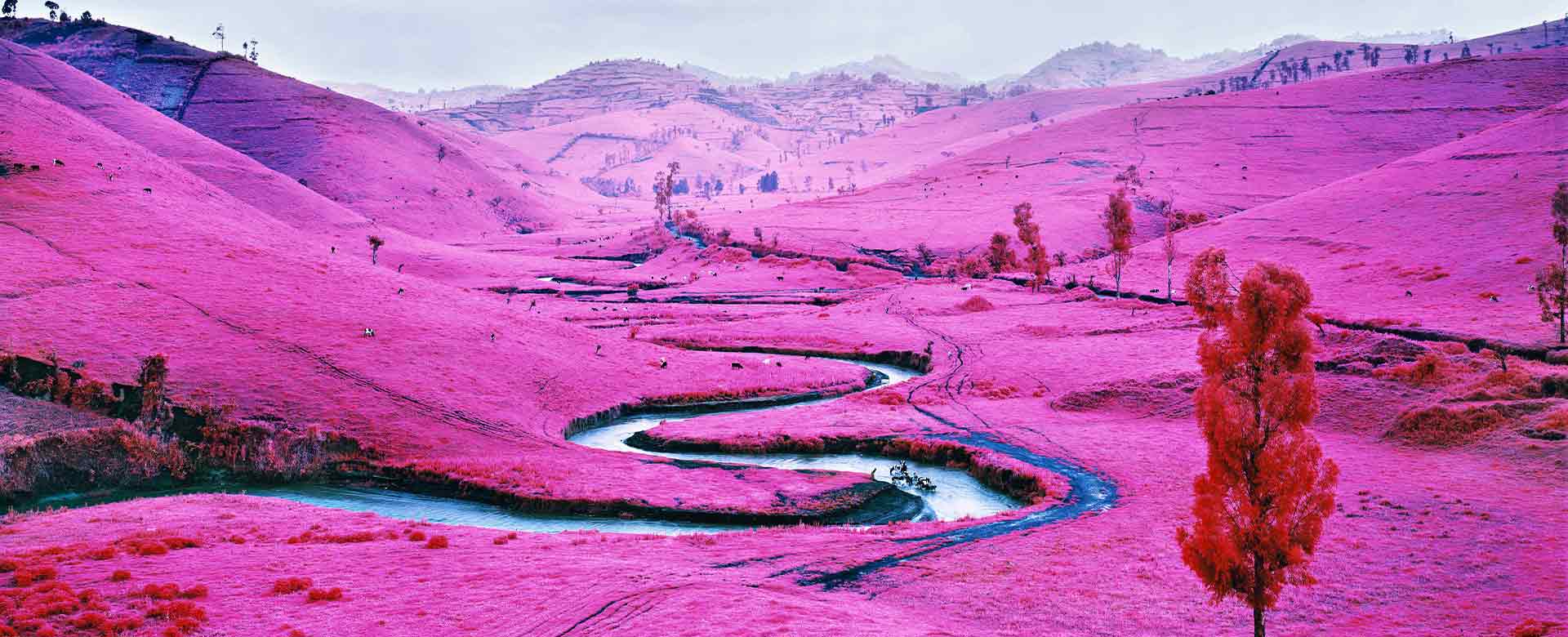 Foto Platon, Repubblica Democratica del Congo orientale (2012) di Richard Mosse