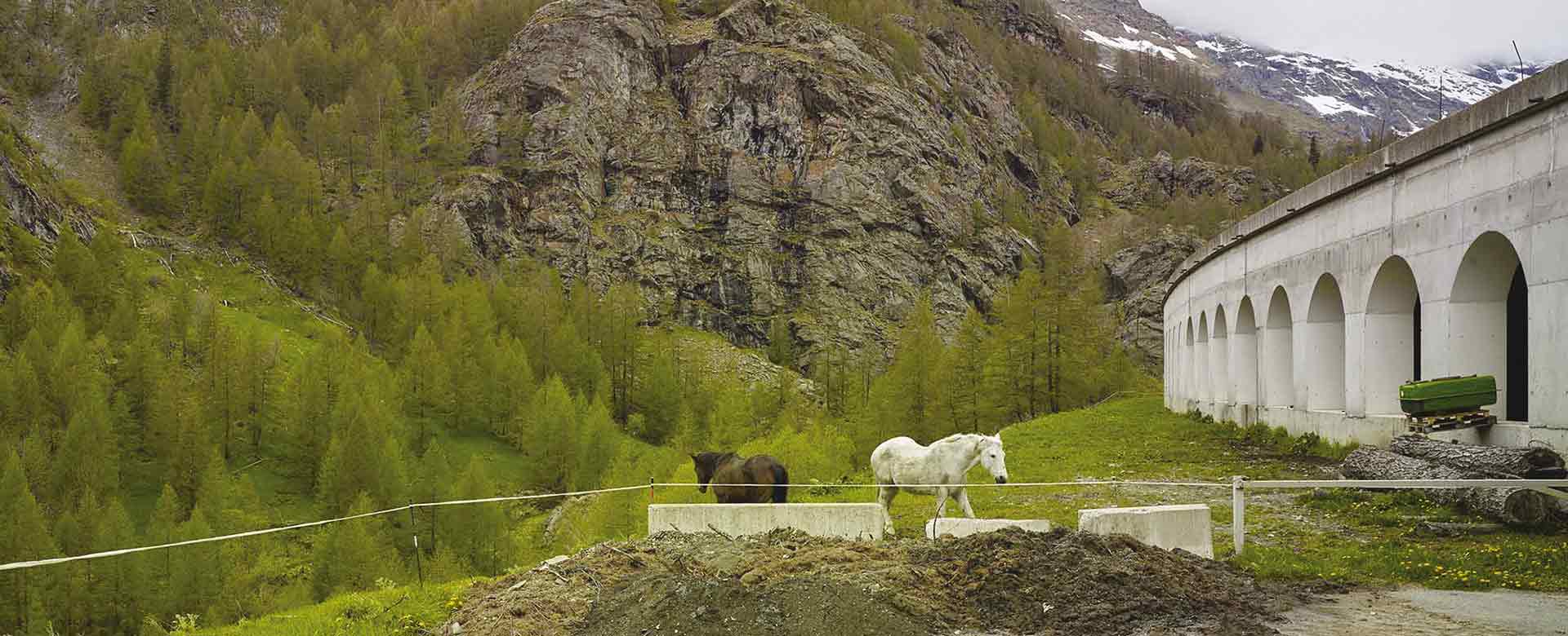 Foto Confine Italia-Svizzera (2020) di Mattia Paladini