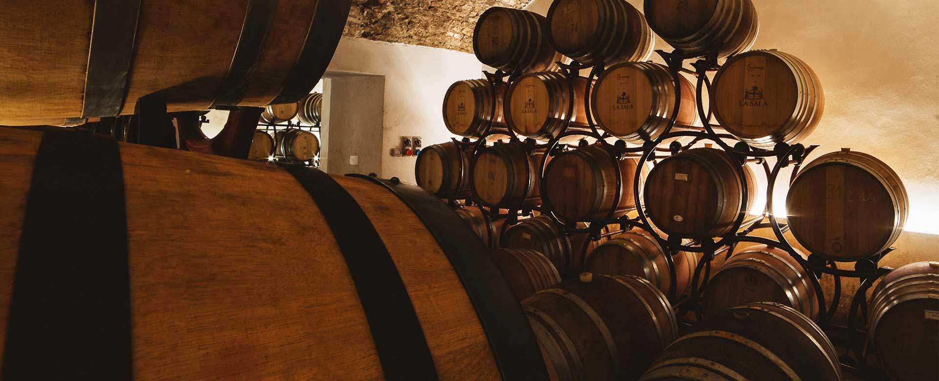 Immagine di botti per il vino