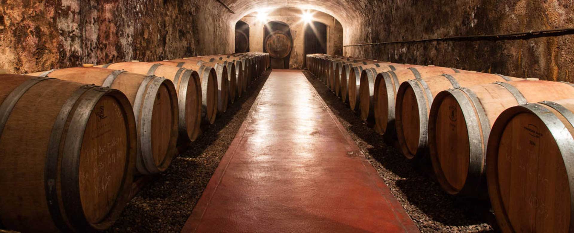 Cantina della Tenuta di Ghizzano