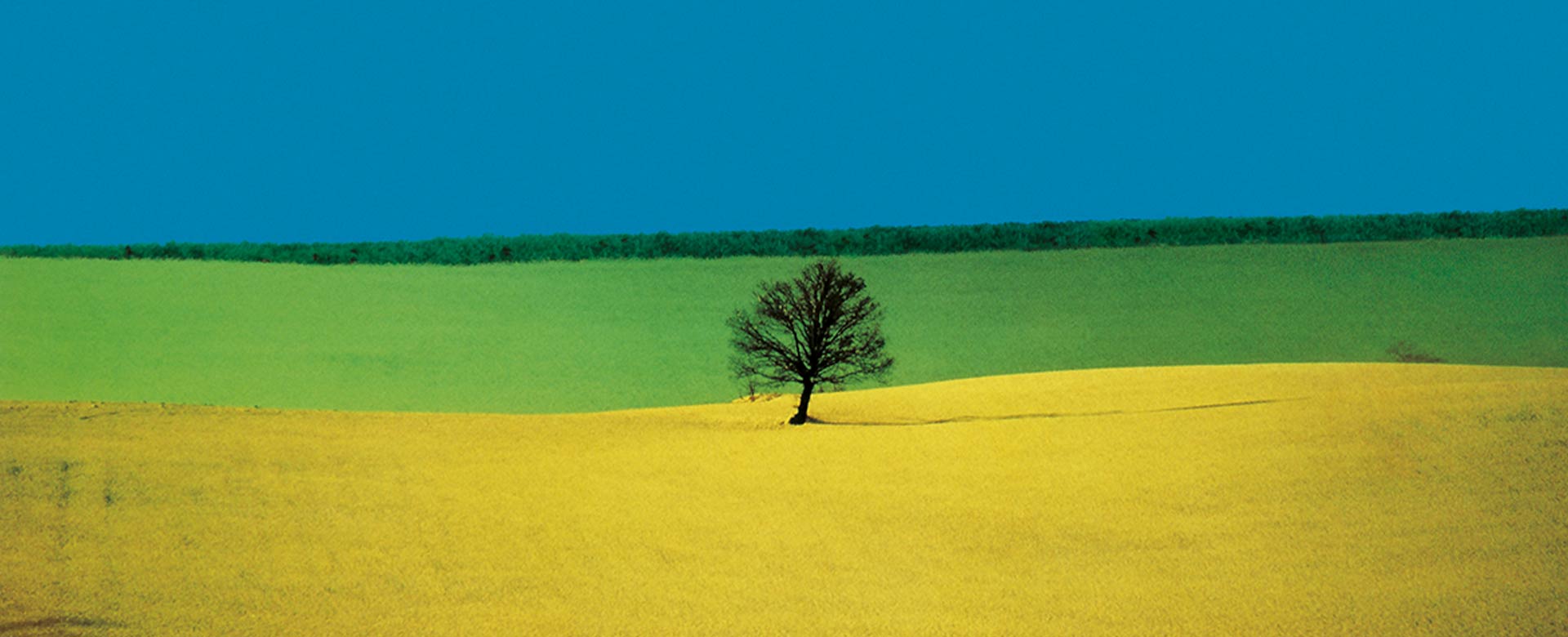 Franco Fontana, Puglia Landscape Italy (1987)