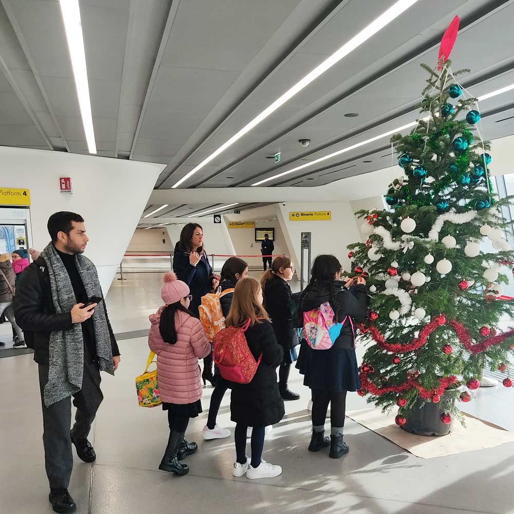 Albero a Napoli Afragola