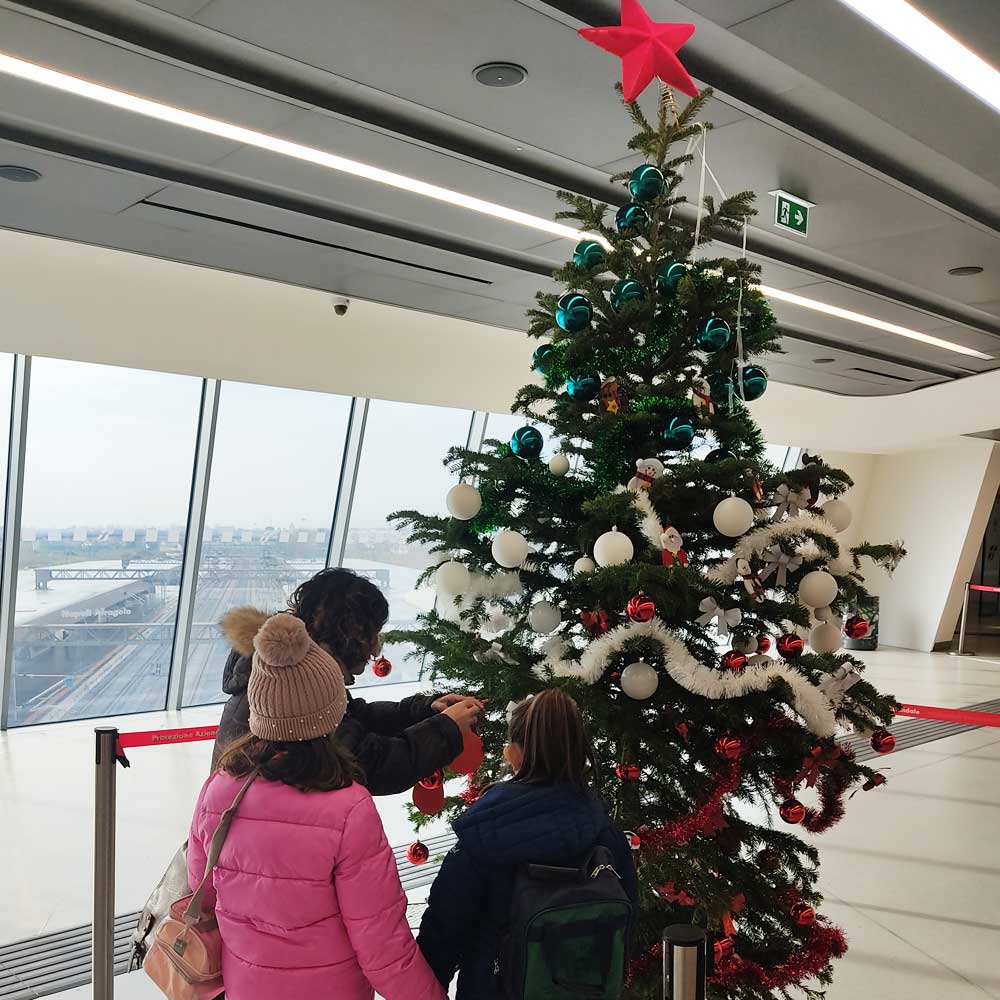 Albero a Napoli Afragola