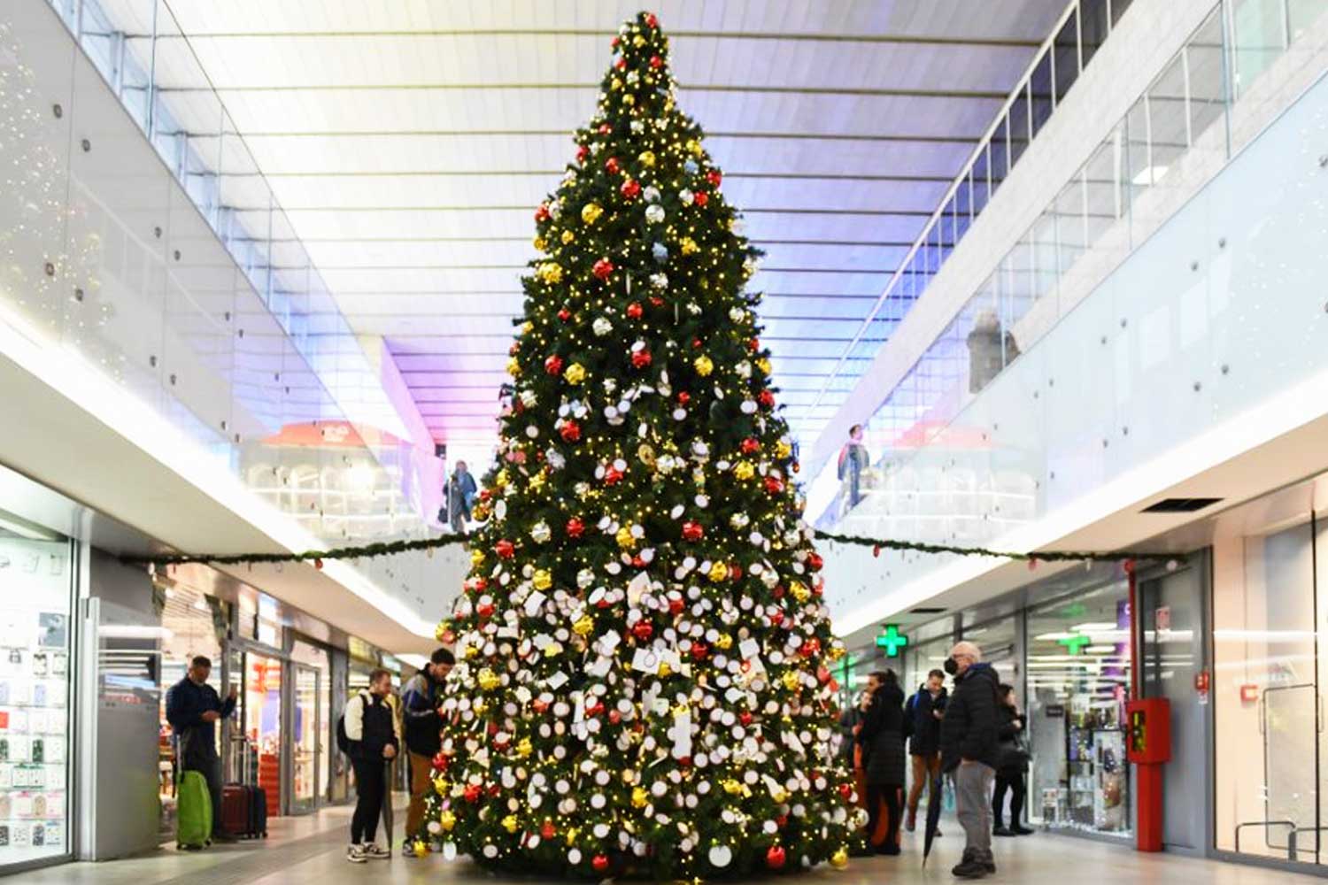 L'albero di Natale della Stazione di Roma Termini