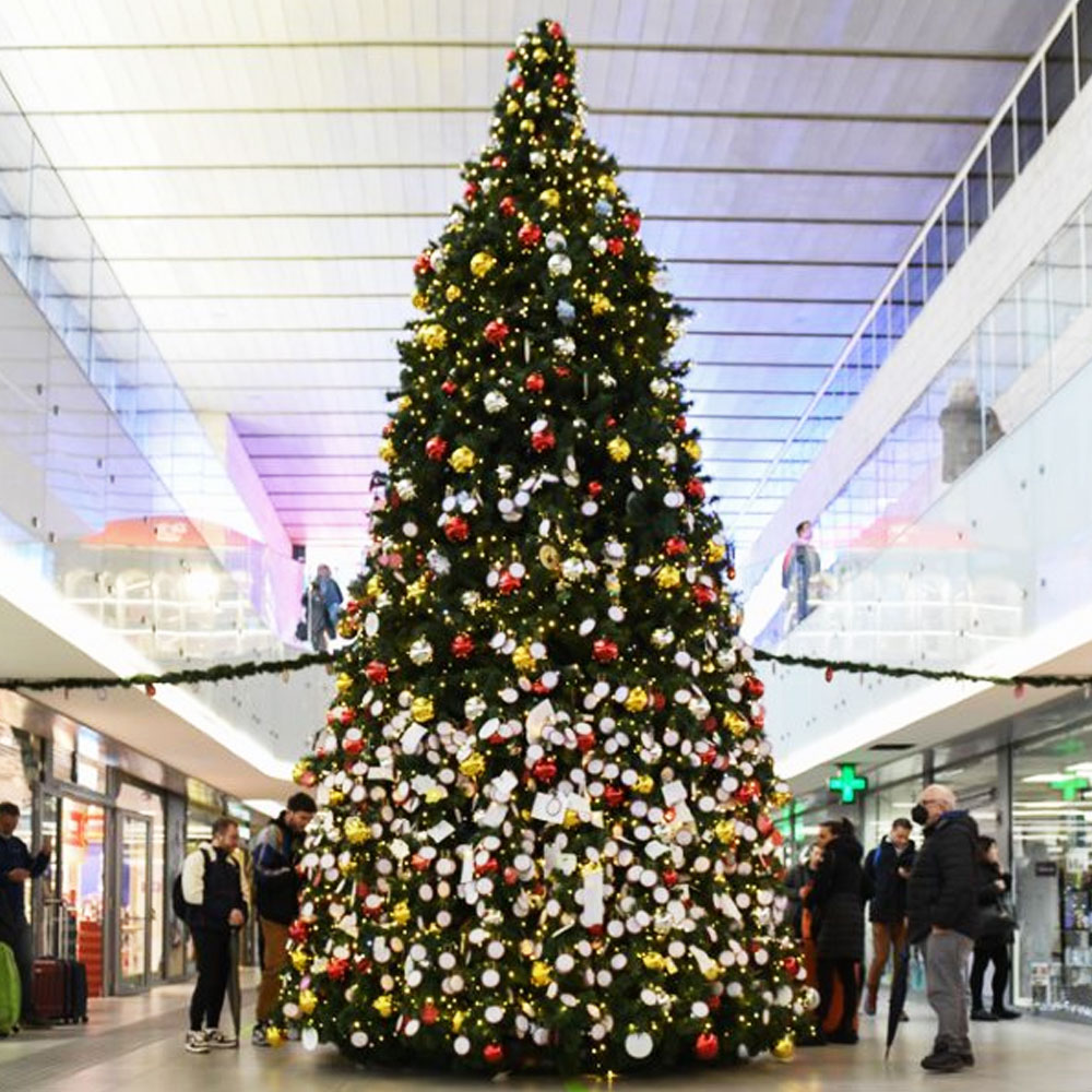 Albero con i bigliettini dei viaggiatori