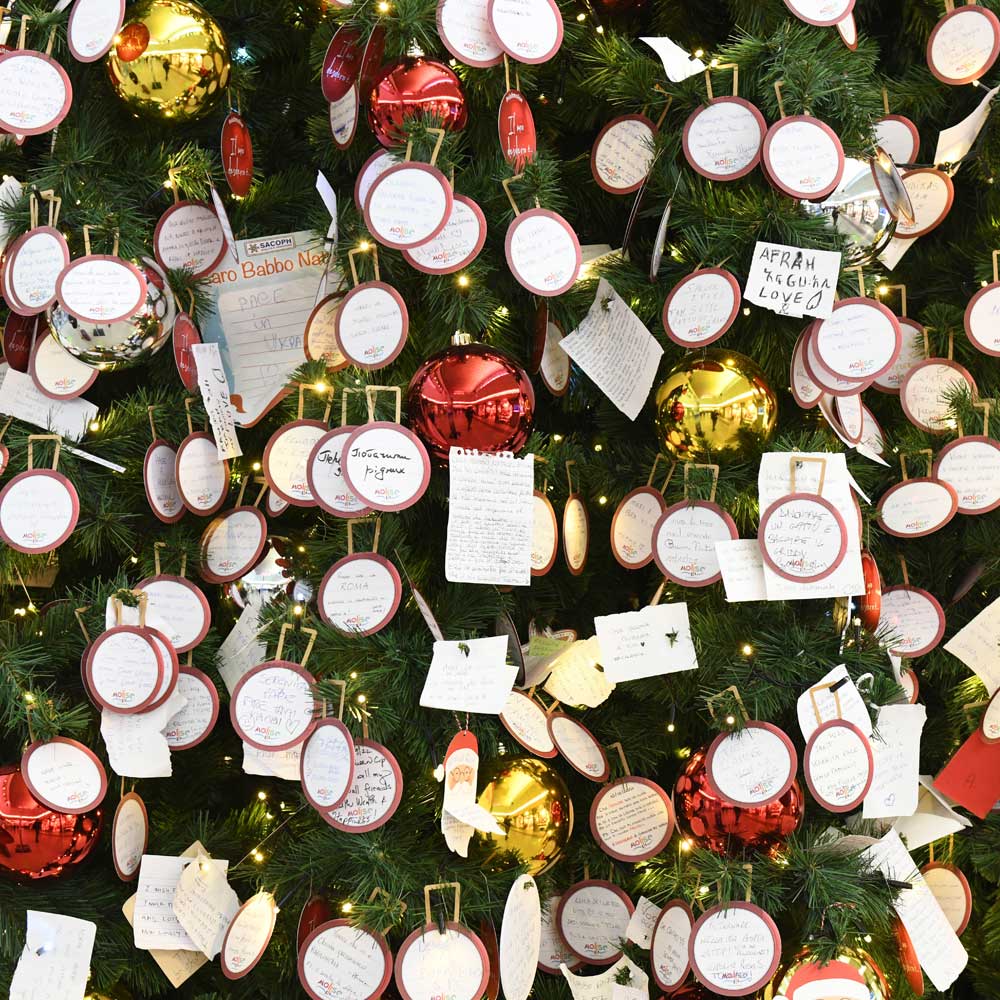 Foto dell'albero alla Stazione Termini di Roma