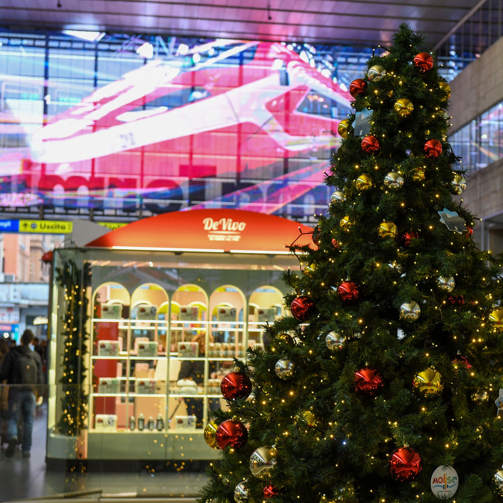Albero a Roma Termini