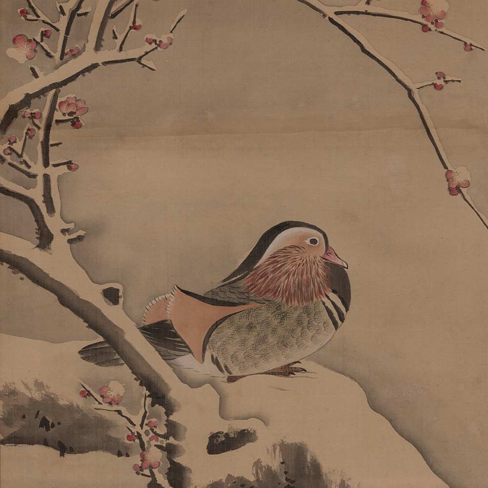Komai Ki, noto anche come Genki (Kyoto, 1747-1797) Una coppia di anatre mandarine 1780-90 circa Dipinto a inchiostro e colori su seta, 113,8 x 41,6 cm ©Studio Gonella
