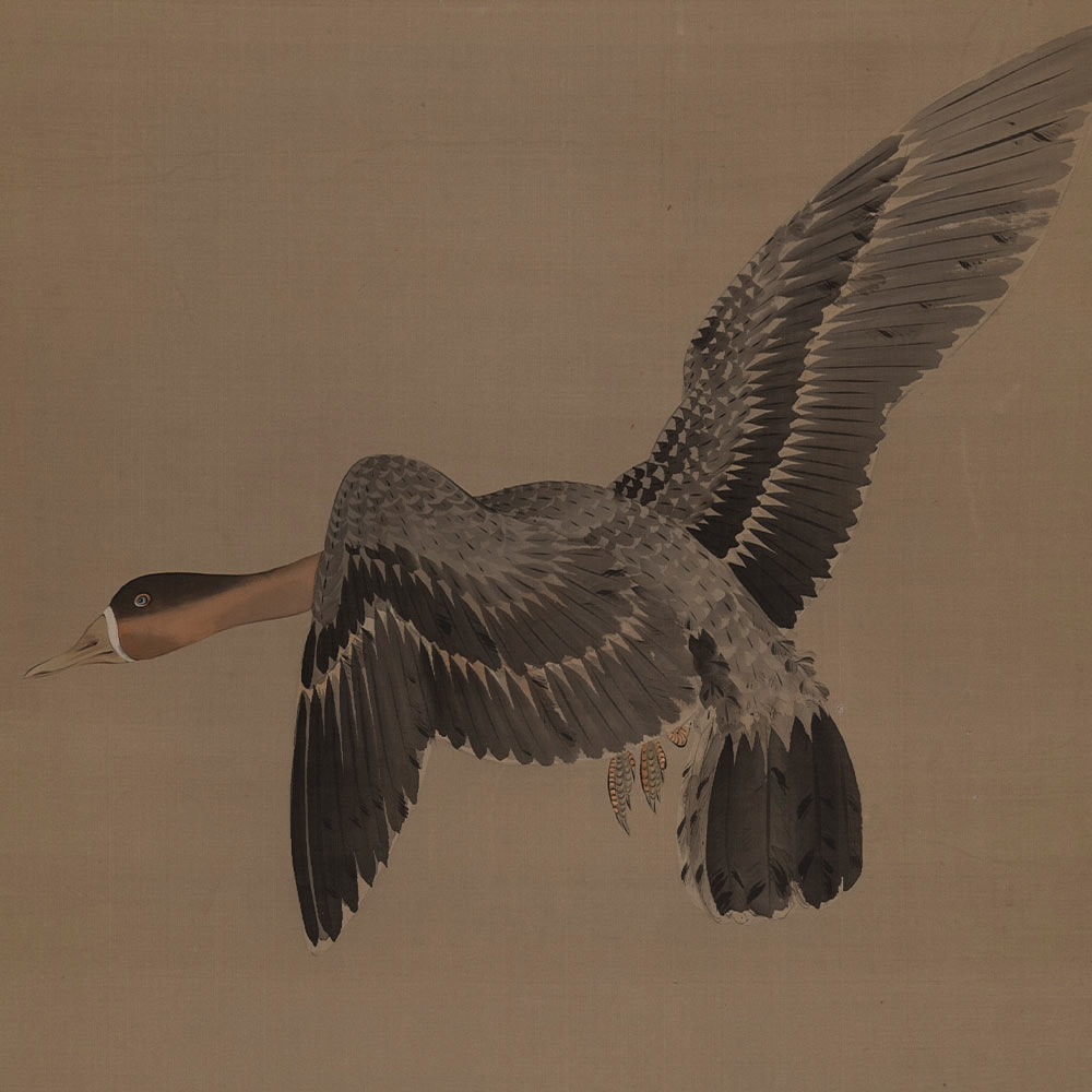 Watanabe Seitei, Un’oca in volo (1900-09 circa) Dipinto a inchiostro e colori su seta, 115,5 x 47,6 cm ©Studio Gonella
