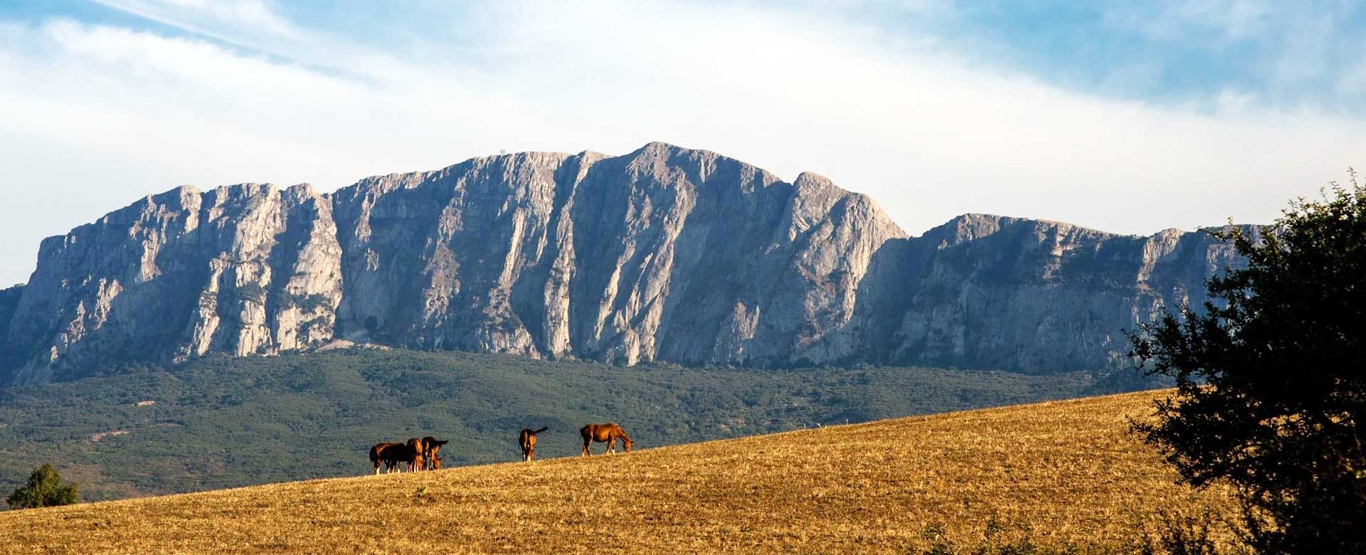 Paesaggio