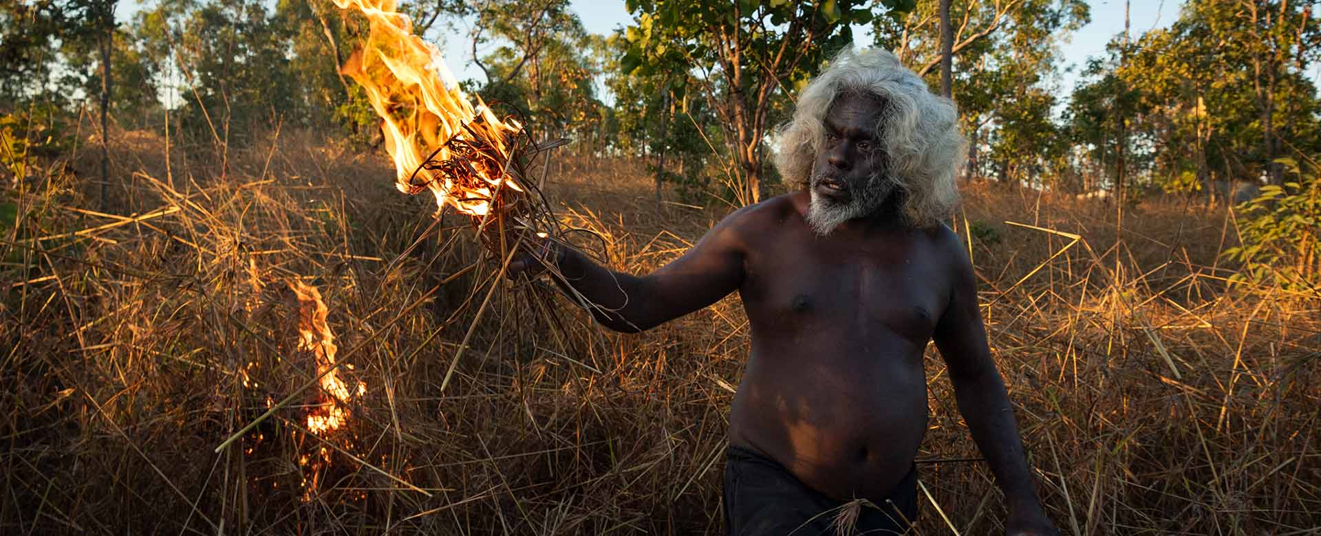 Matthew Abbott Salvare le foreste con il fuoco (2021), Australia
