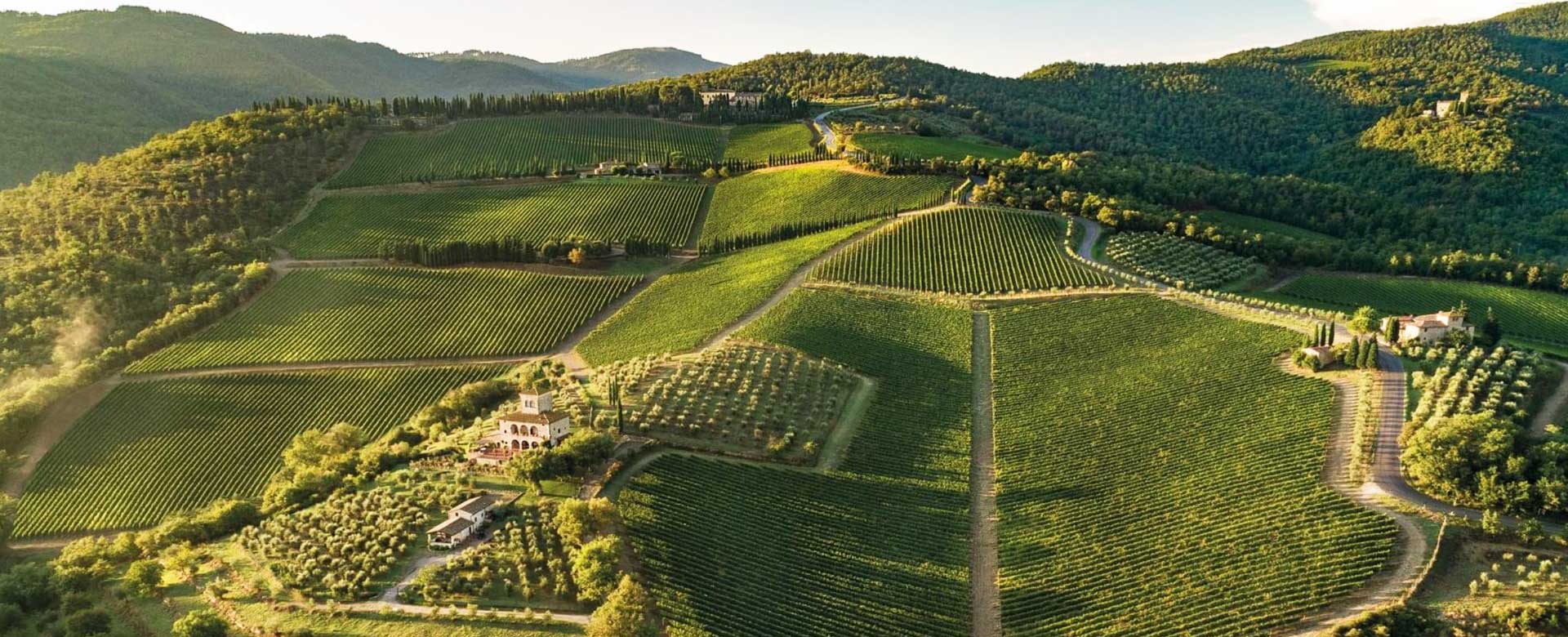 Vigneti del Castello di Albola