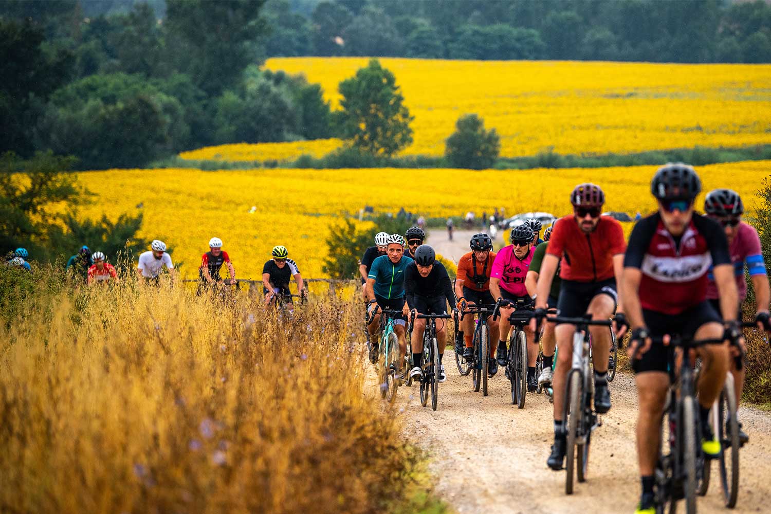 I partecipanti di Nova Eroica 2021 nei colori della Val d'Orcia e della Val d'Arbia (SI)