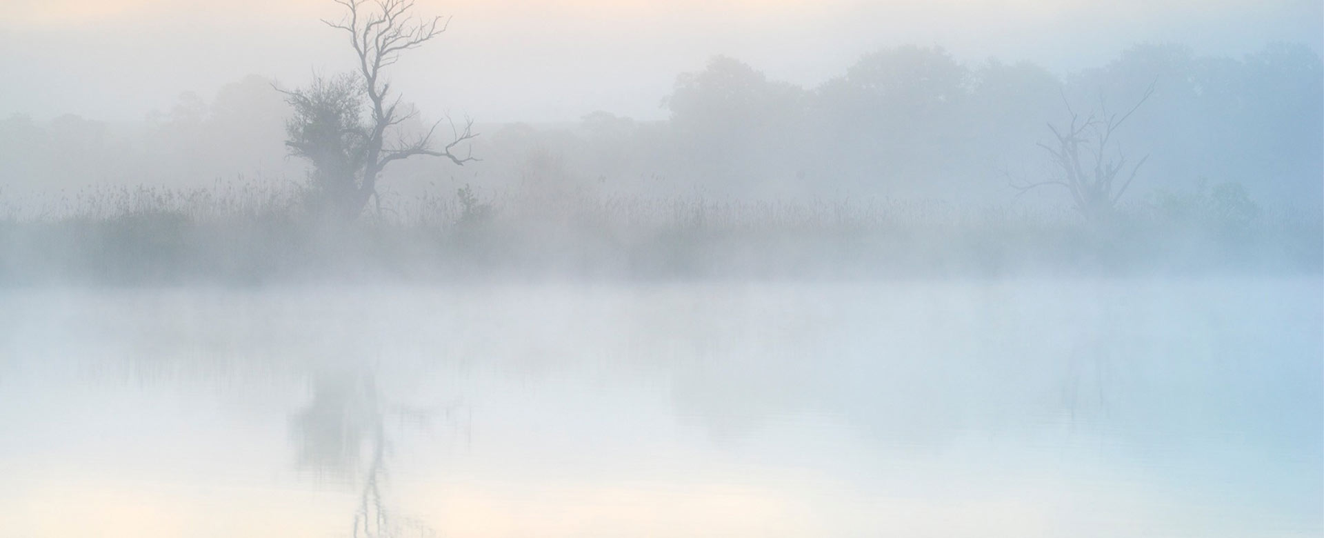 La nebbia sul Tevere del fotografo Matteo Luciani