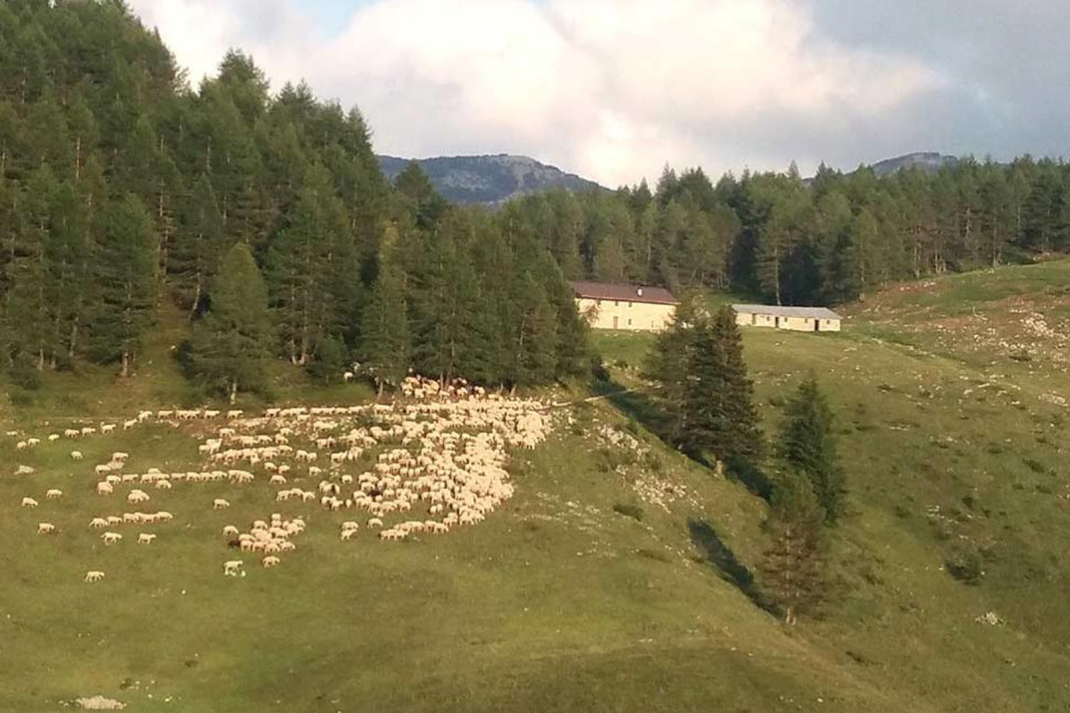 Una delle location del festival Geografie sul Pasubio