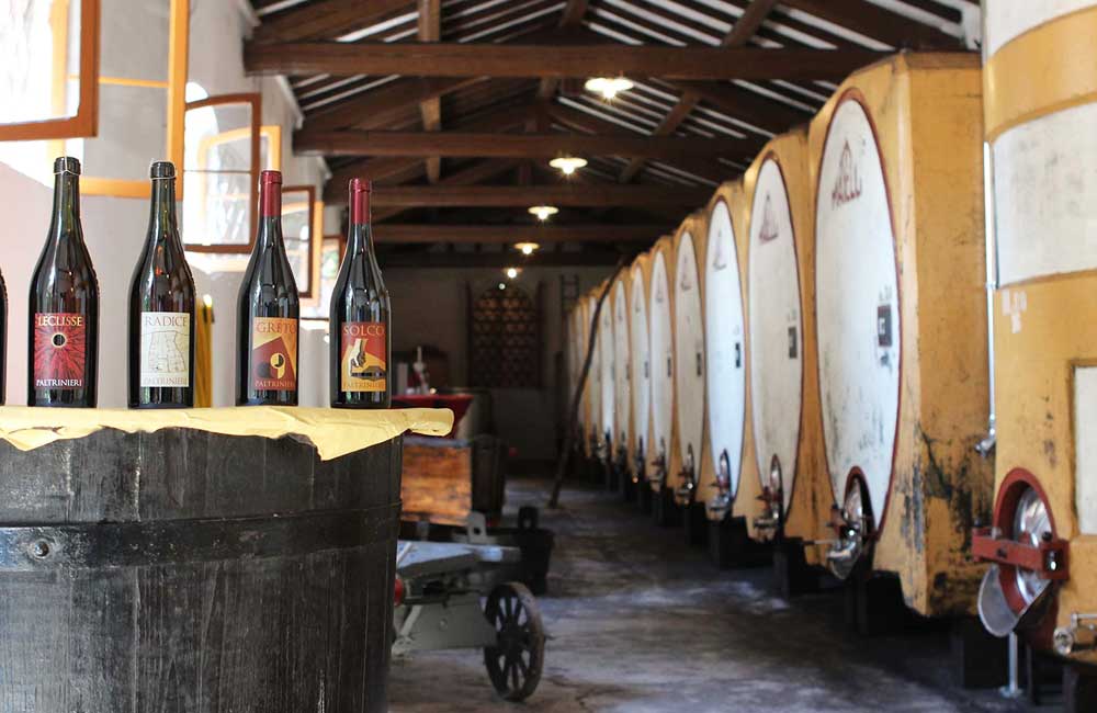 Cantina Paltrinieri