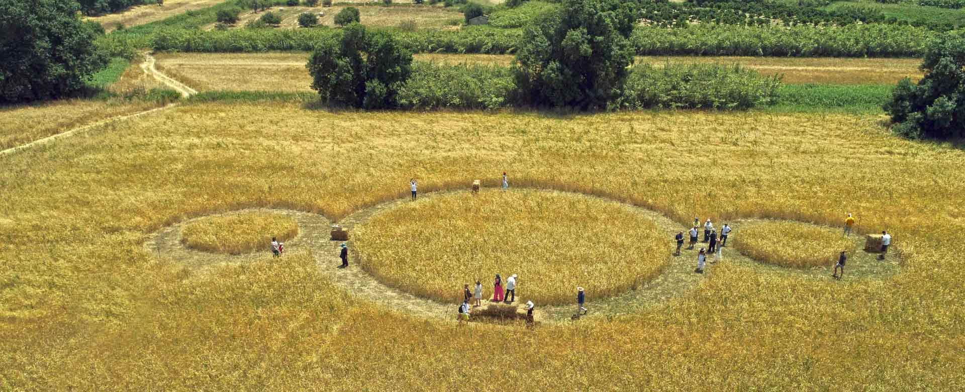 Coltivazione di terreni