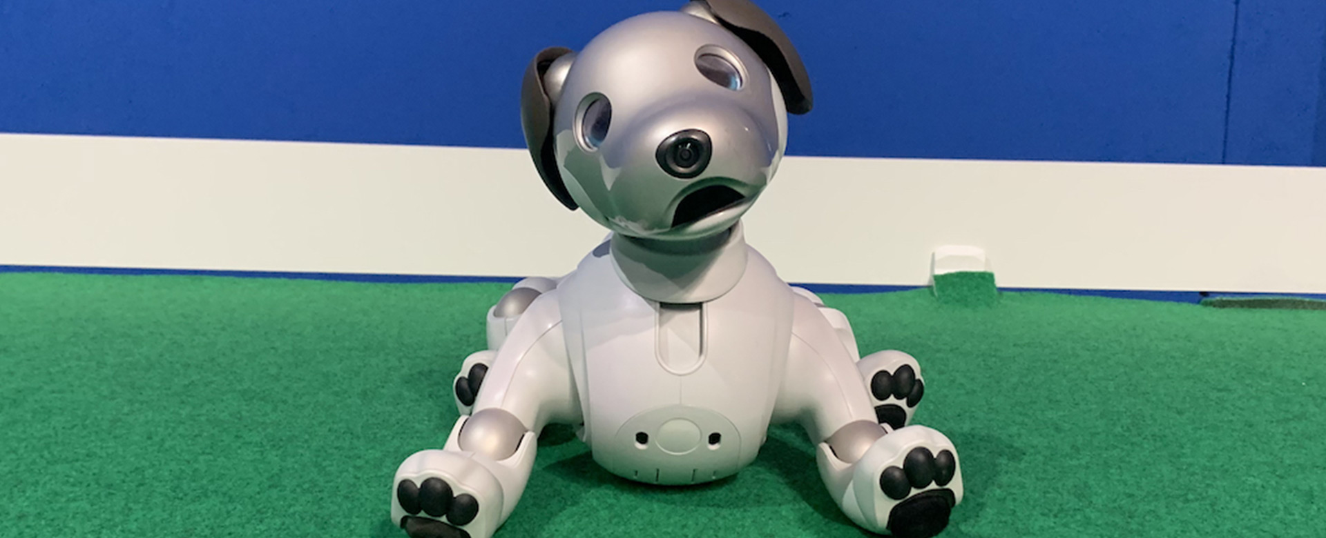 AIBO, il cane-robot, tra i protagonisti della mostra La città dei robot a Napoli