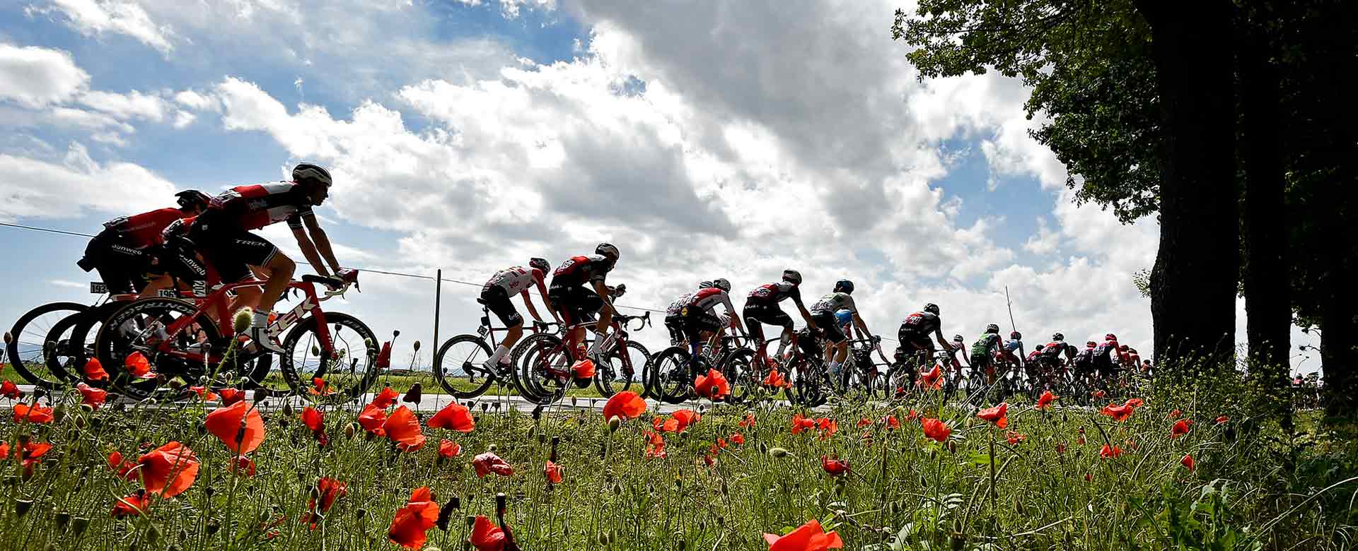 Ciclisti del Giro d'Italia