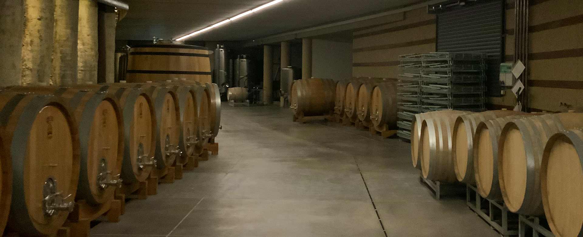 Botti per il vino