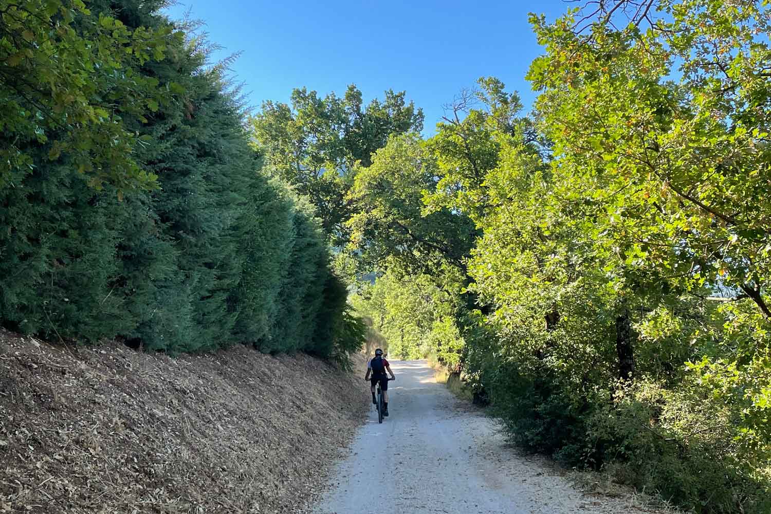 E-bike tra gli ulivi