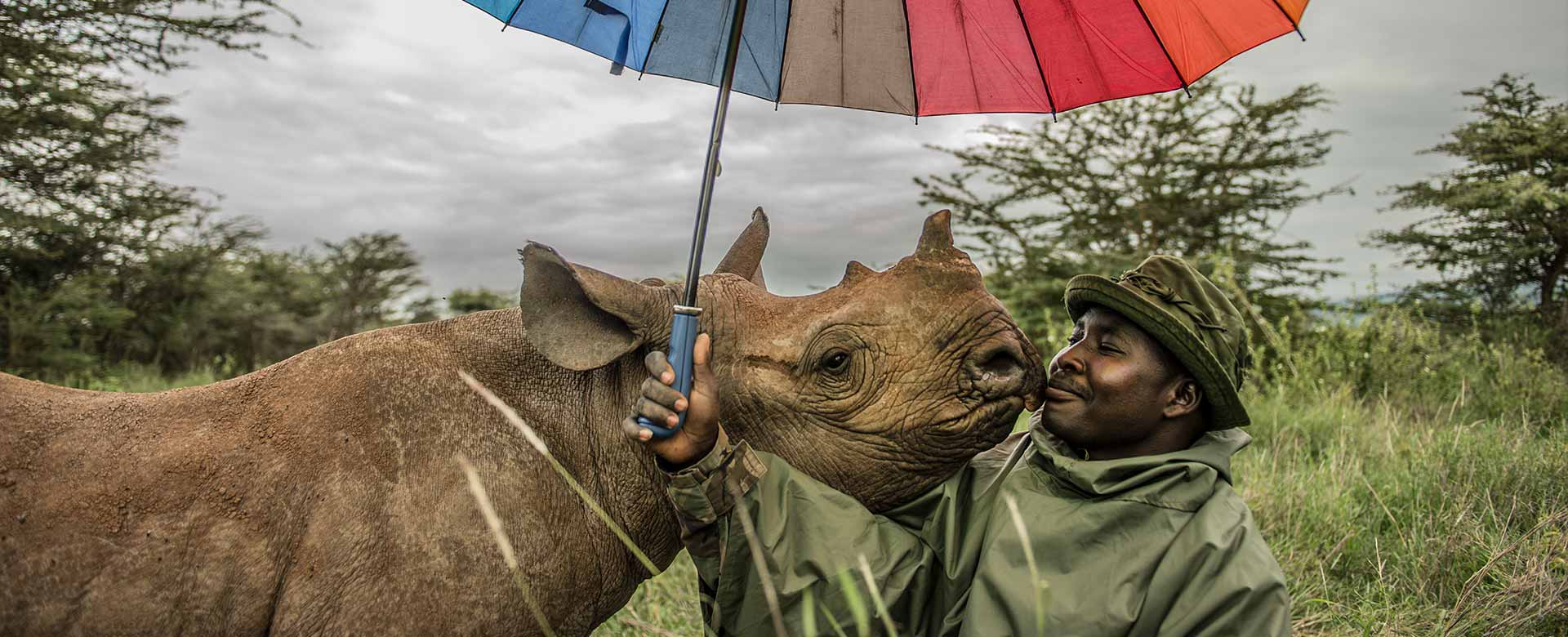 Il rinoceronte Kilifi, in Kenya, fotografato da Ami Vitale