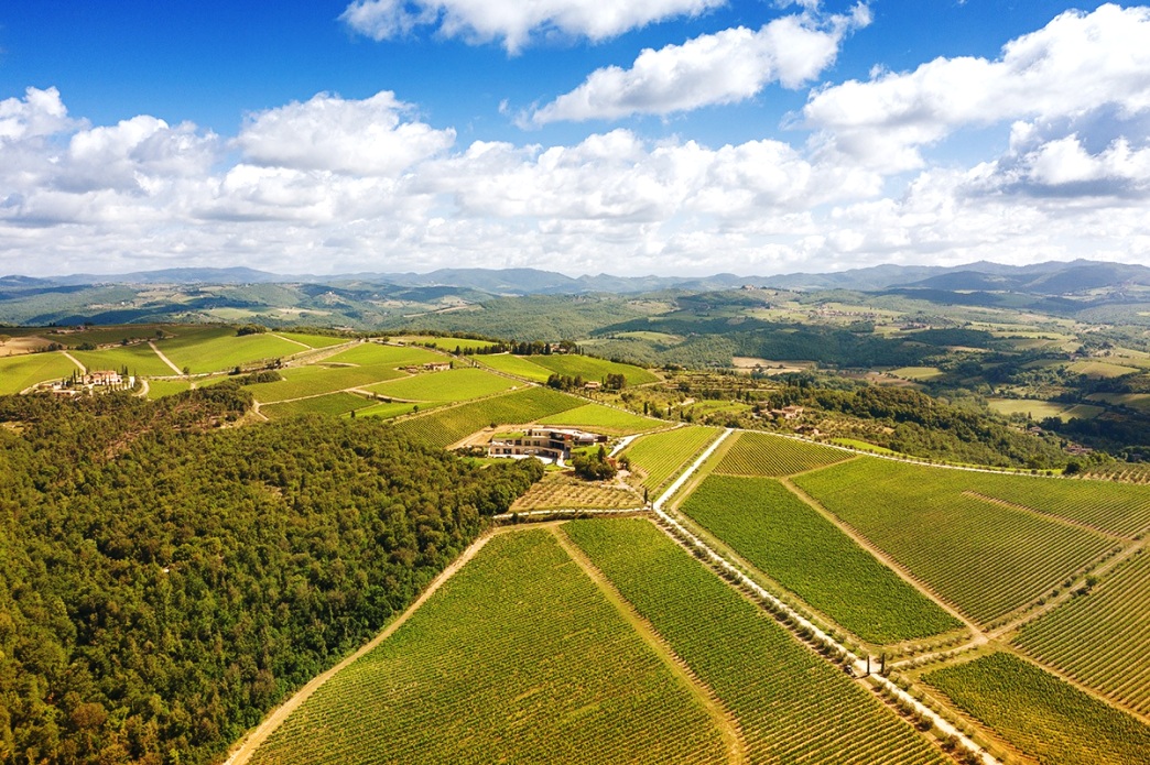 Campagna del Chianti