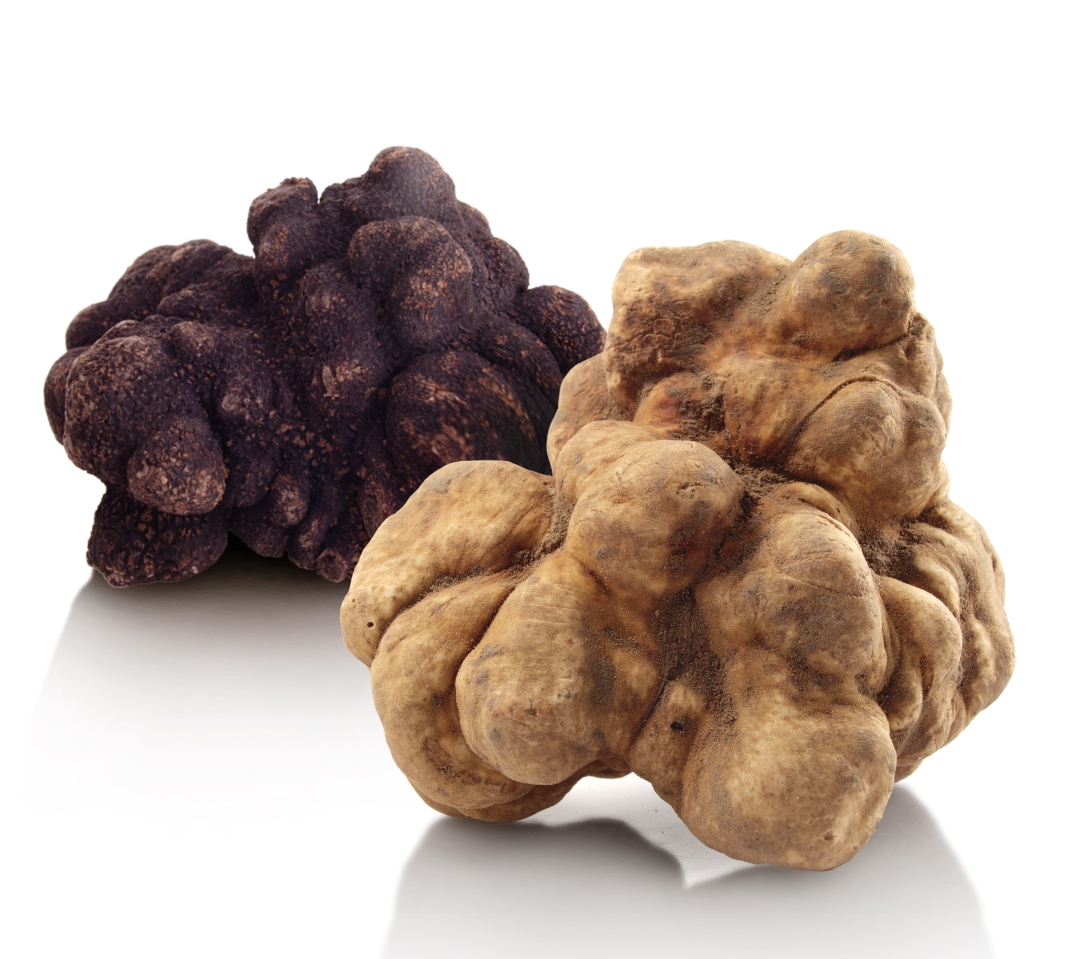 Tartufo bianco e nero