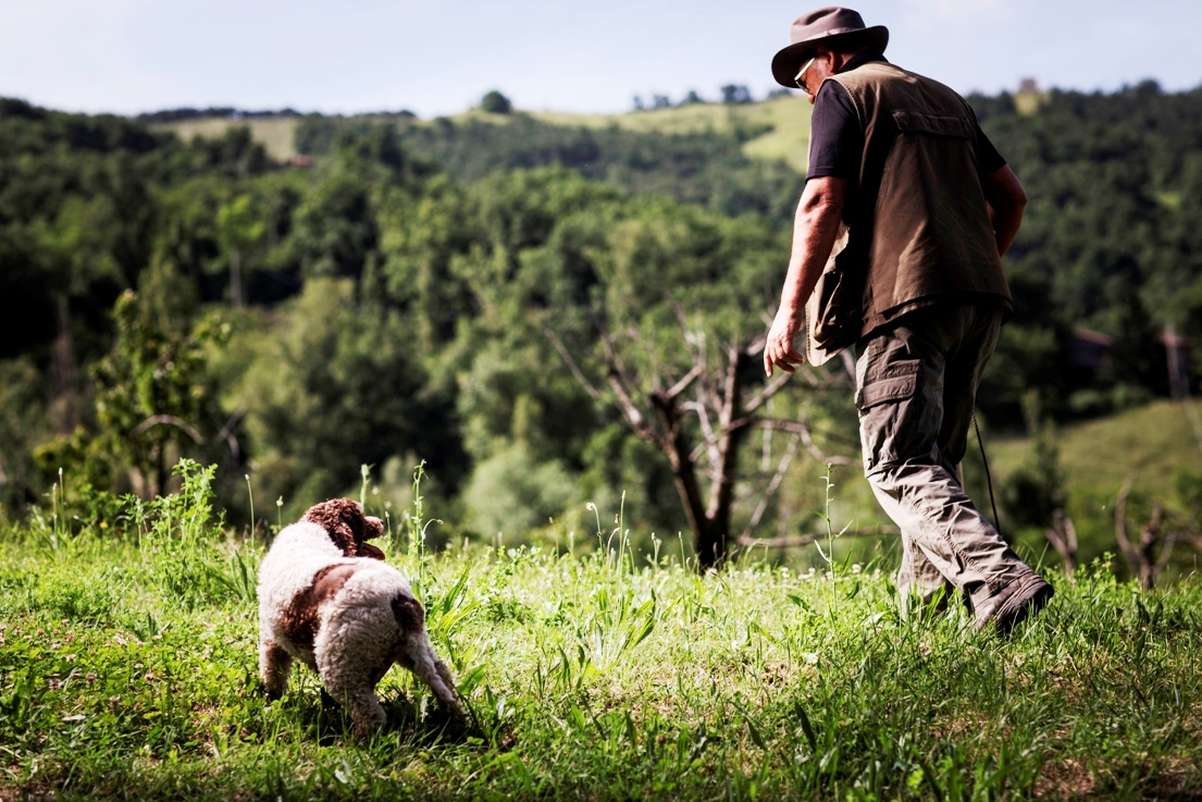 Ricerca di tartufi, cane e padrone