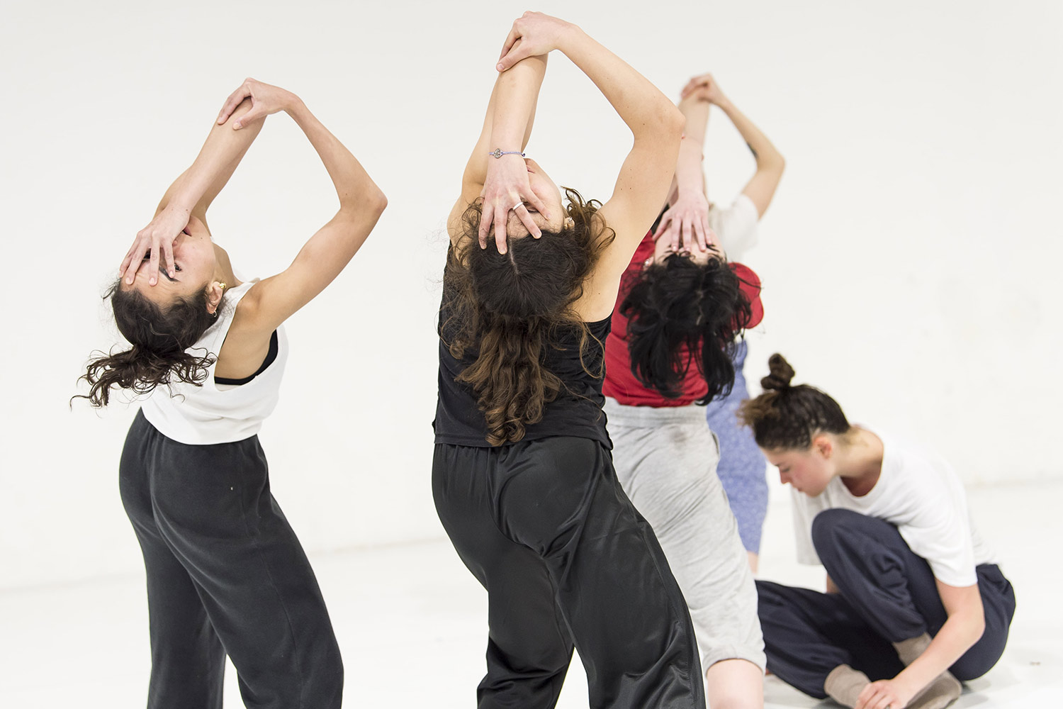 Czd2 Giovane Compagnia Zappalá Danza