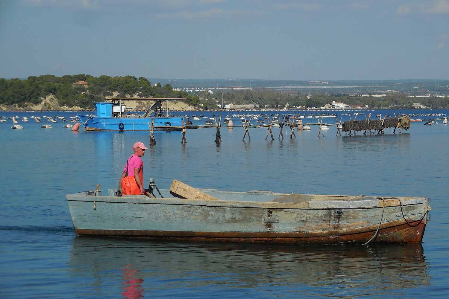 L’allevamento di cozze nere di Taranto