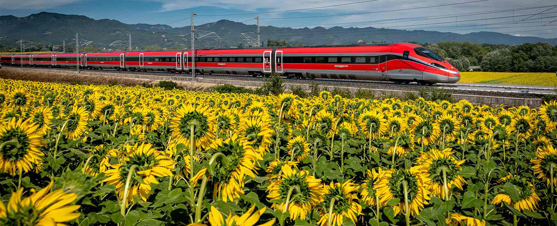 Frecciarossa Girasole