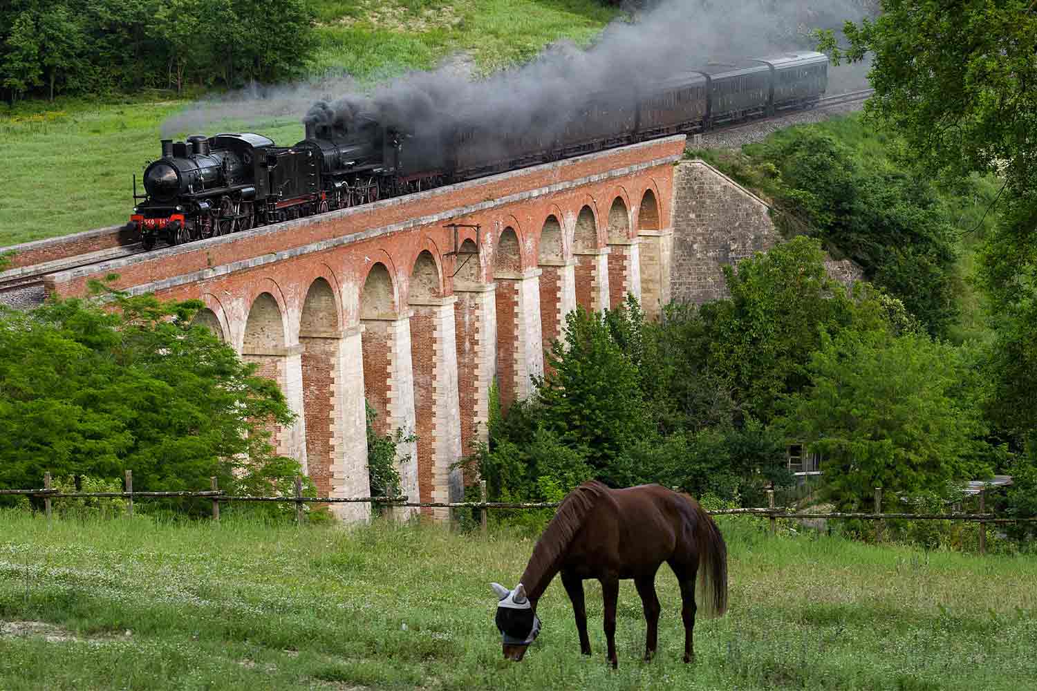 Treno storico con locomotiva a vapore
