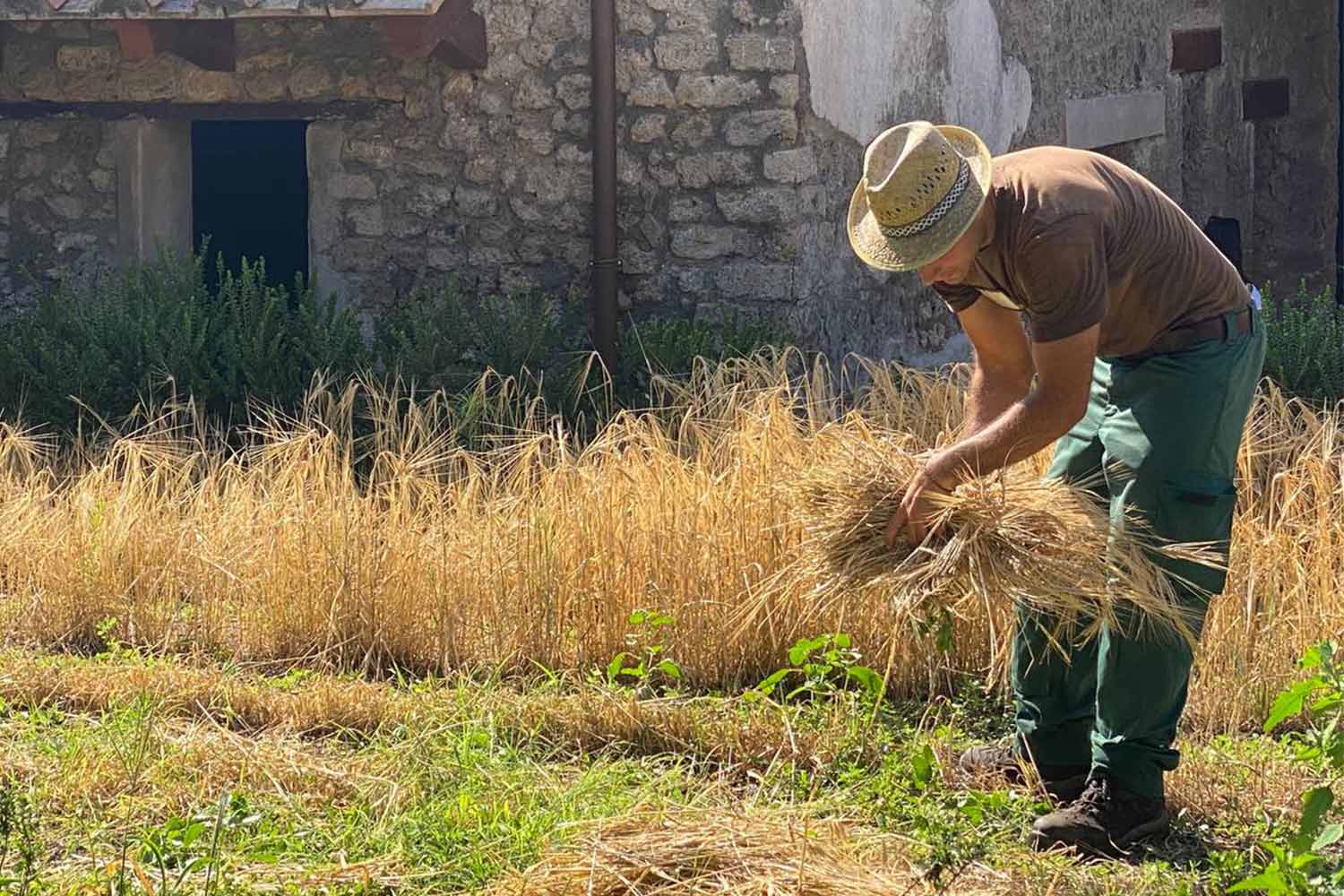 Agricoltore