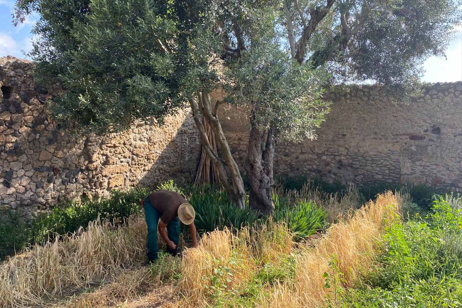 Agricoltore