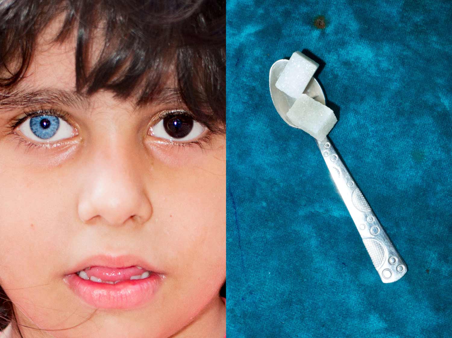 Gule Gule © Caimi & Piccinni