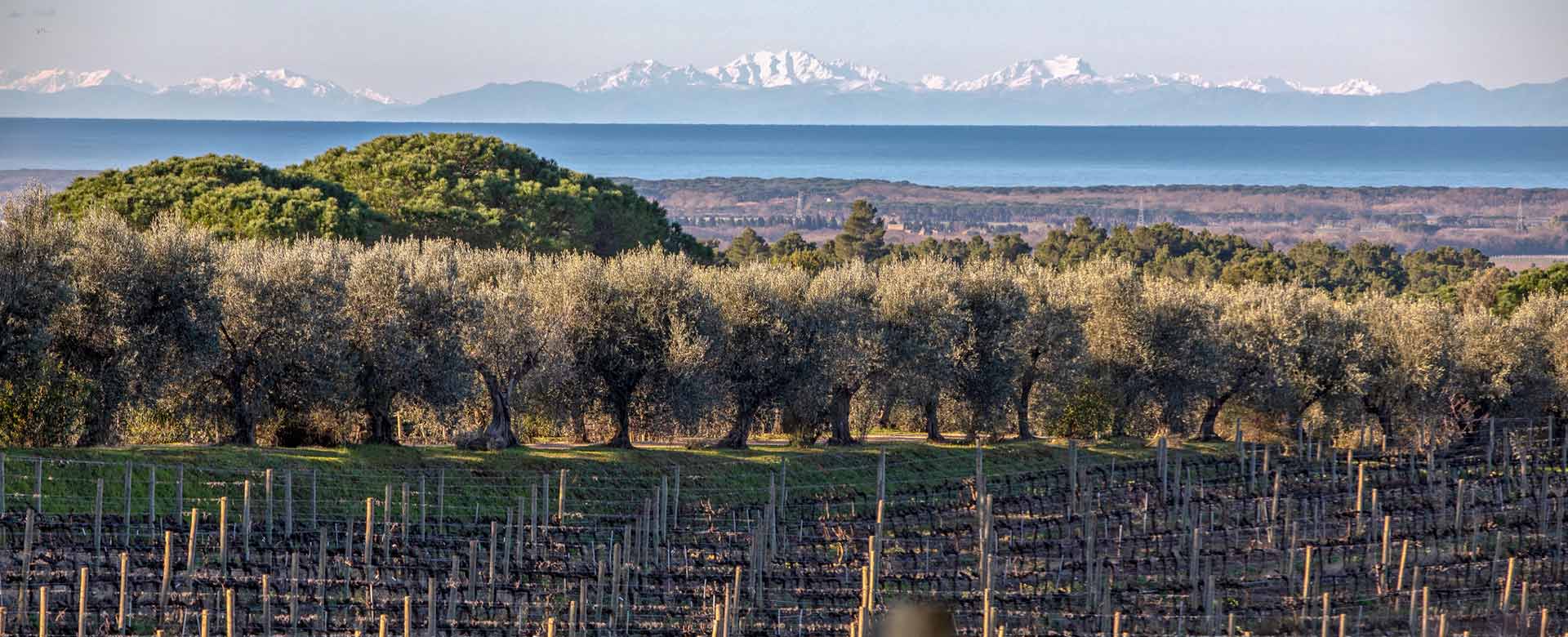 Foto di Biserno e Campo di Sasso