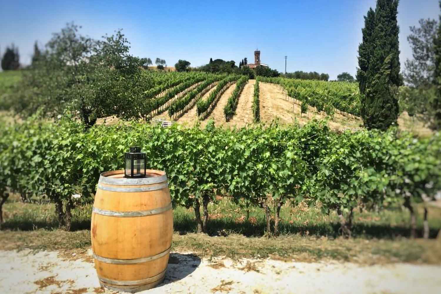 Azienda vinicola Pietro Beconcini