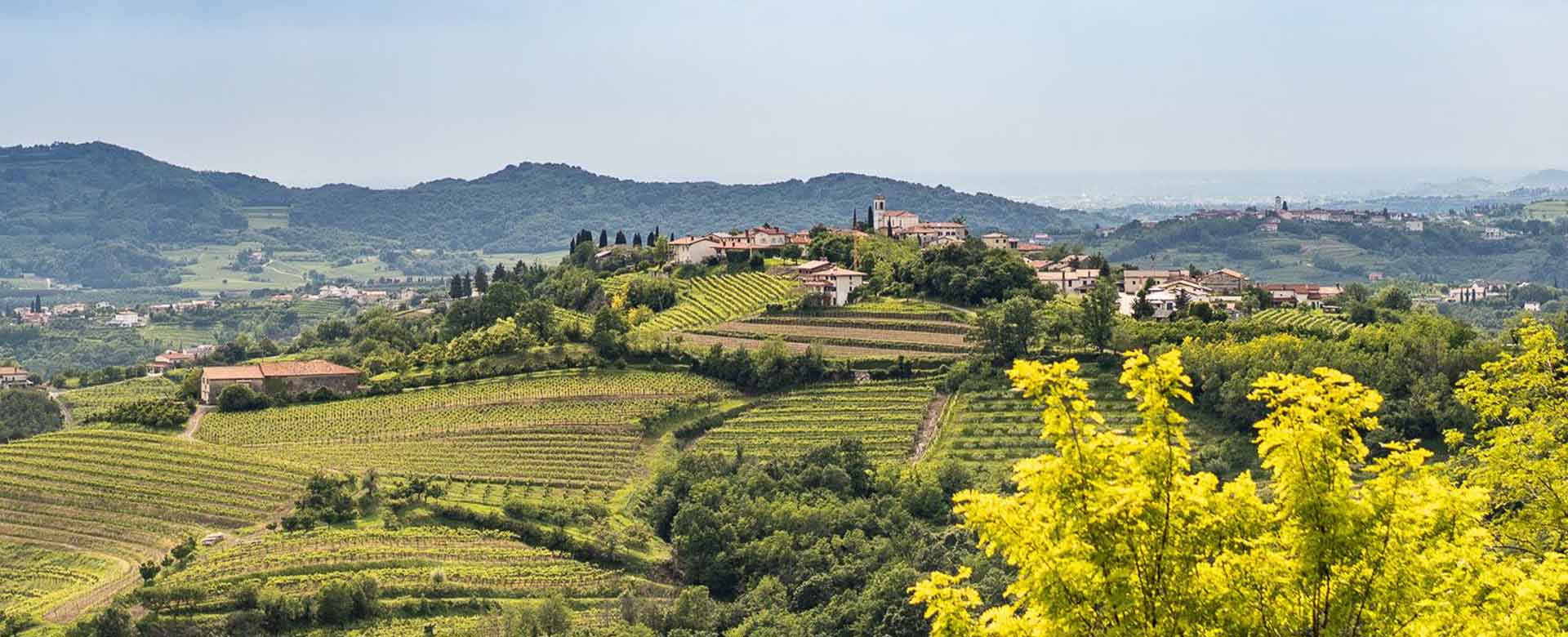 Collina
