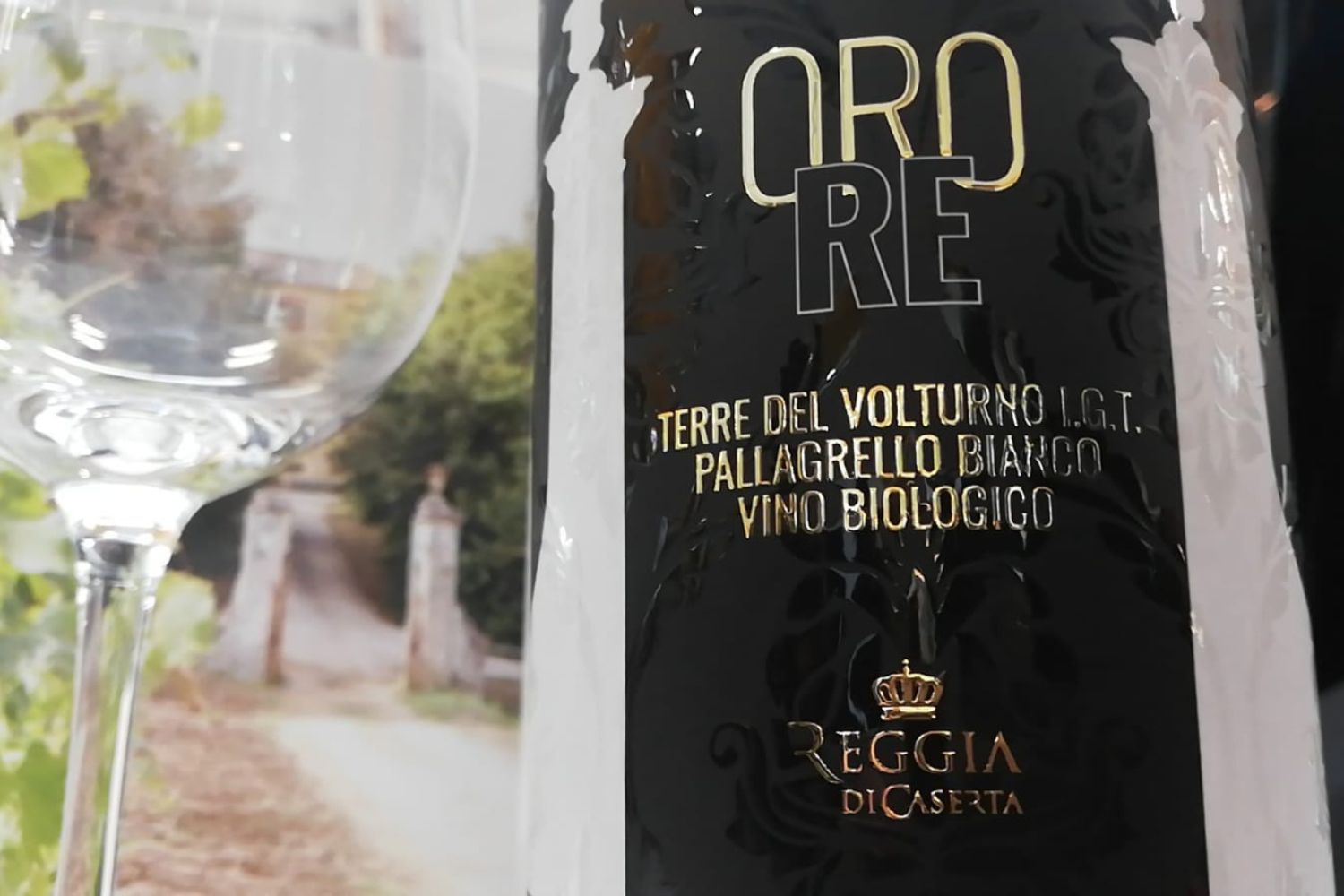 OreRe: il vino da uve Pallagrello