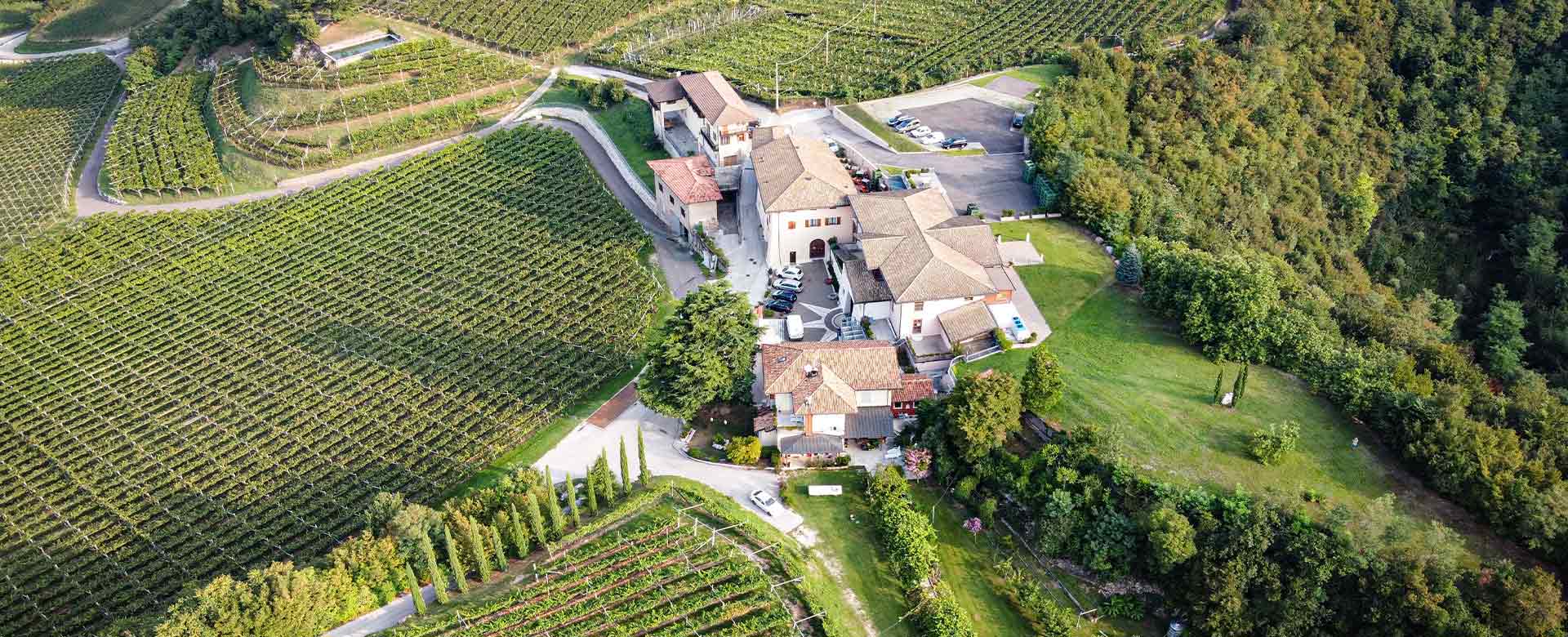 Vigneto