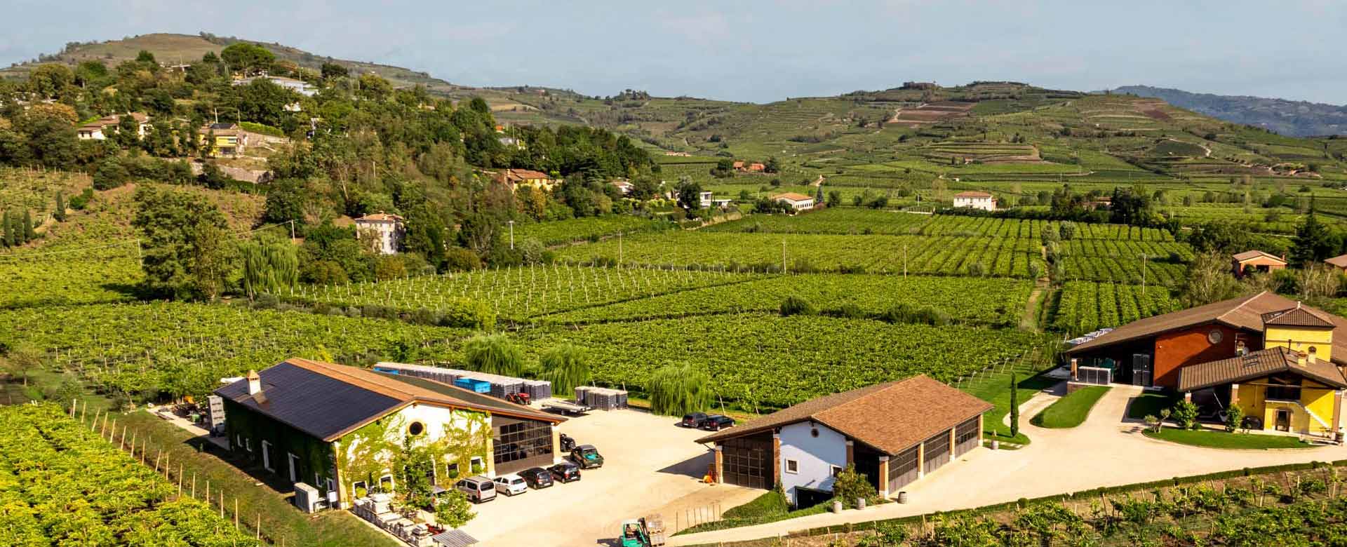 Foto paesaggio Soave