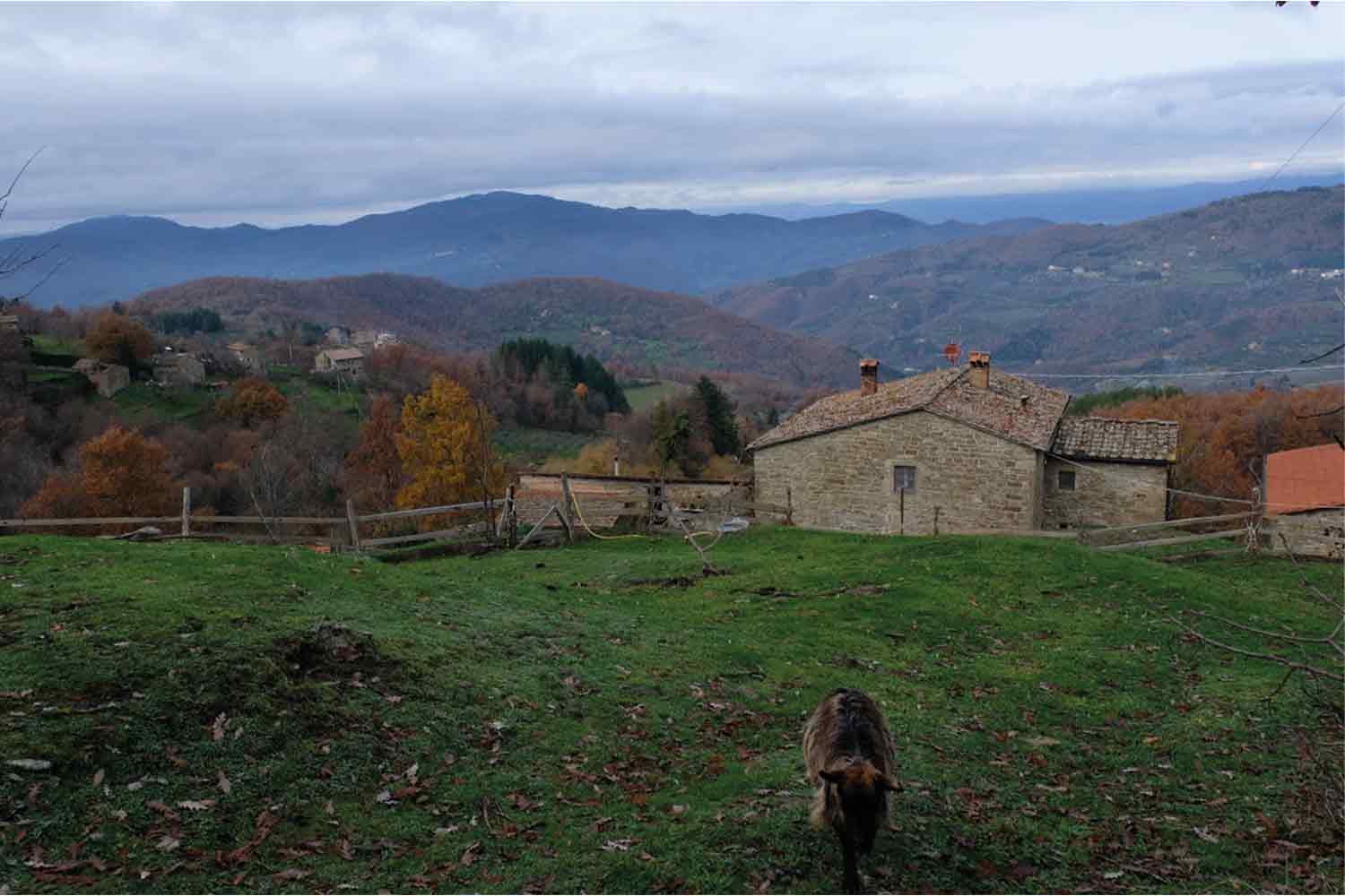 Fattoria di Simafra