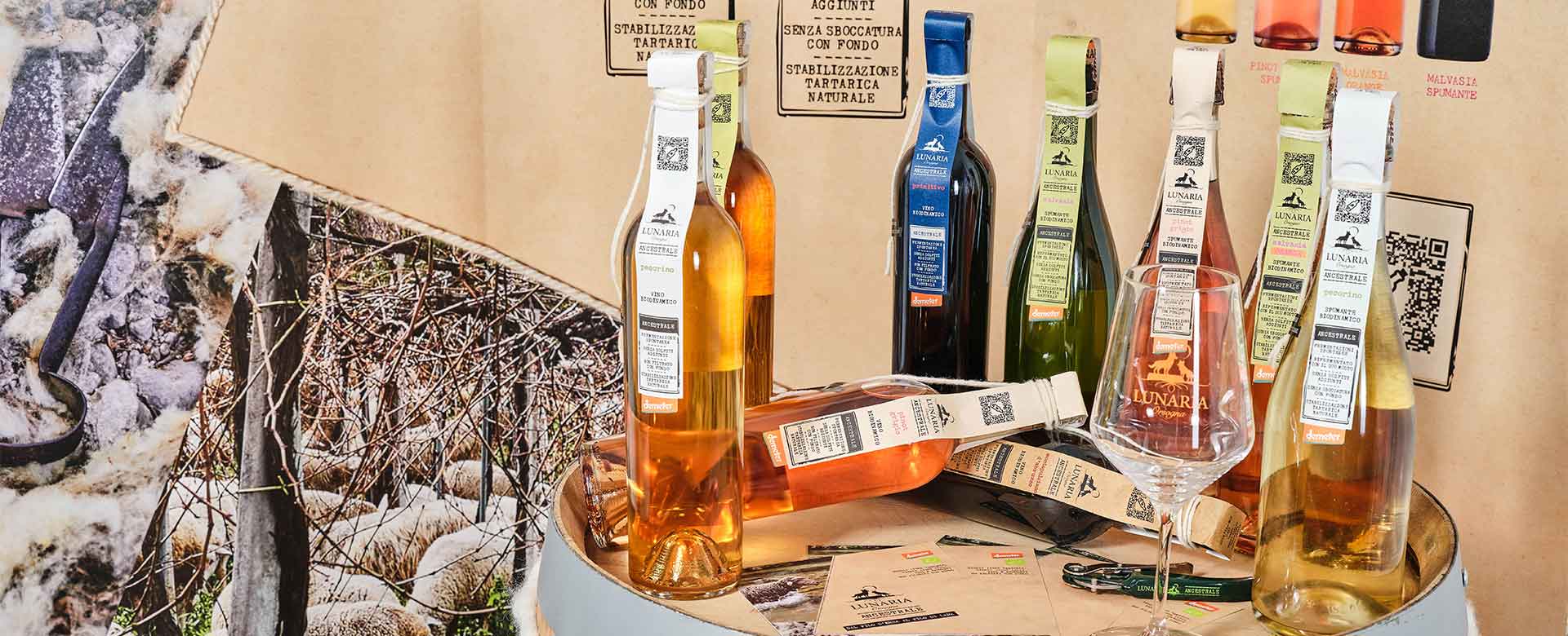bottiglie di vino