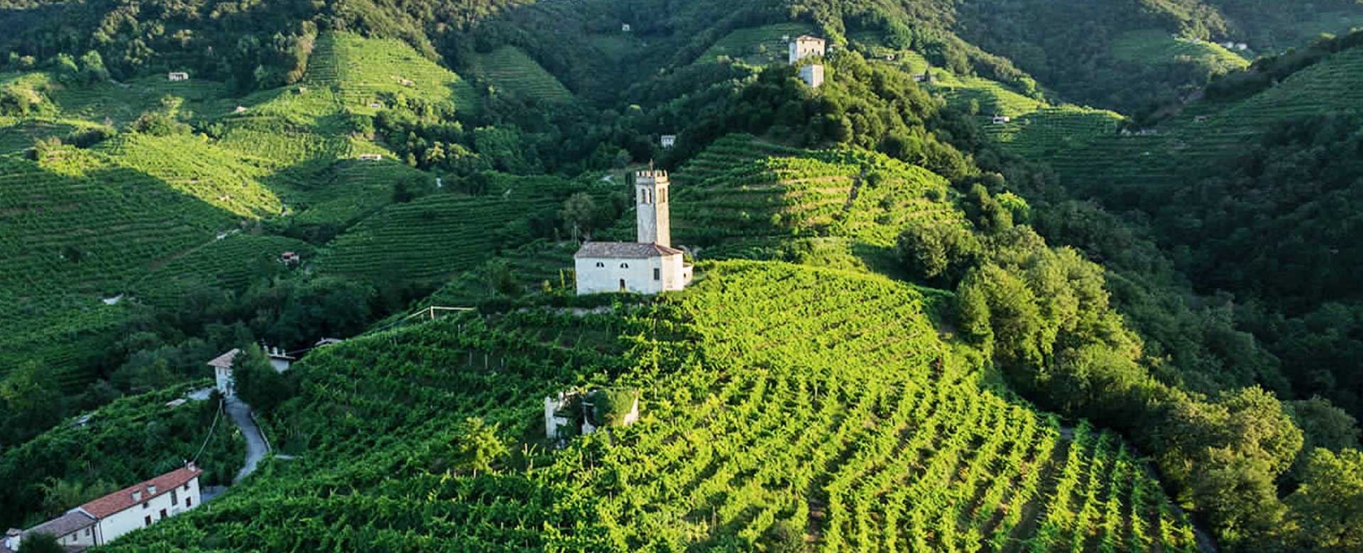 cantina La Farra